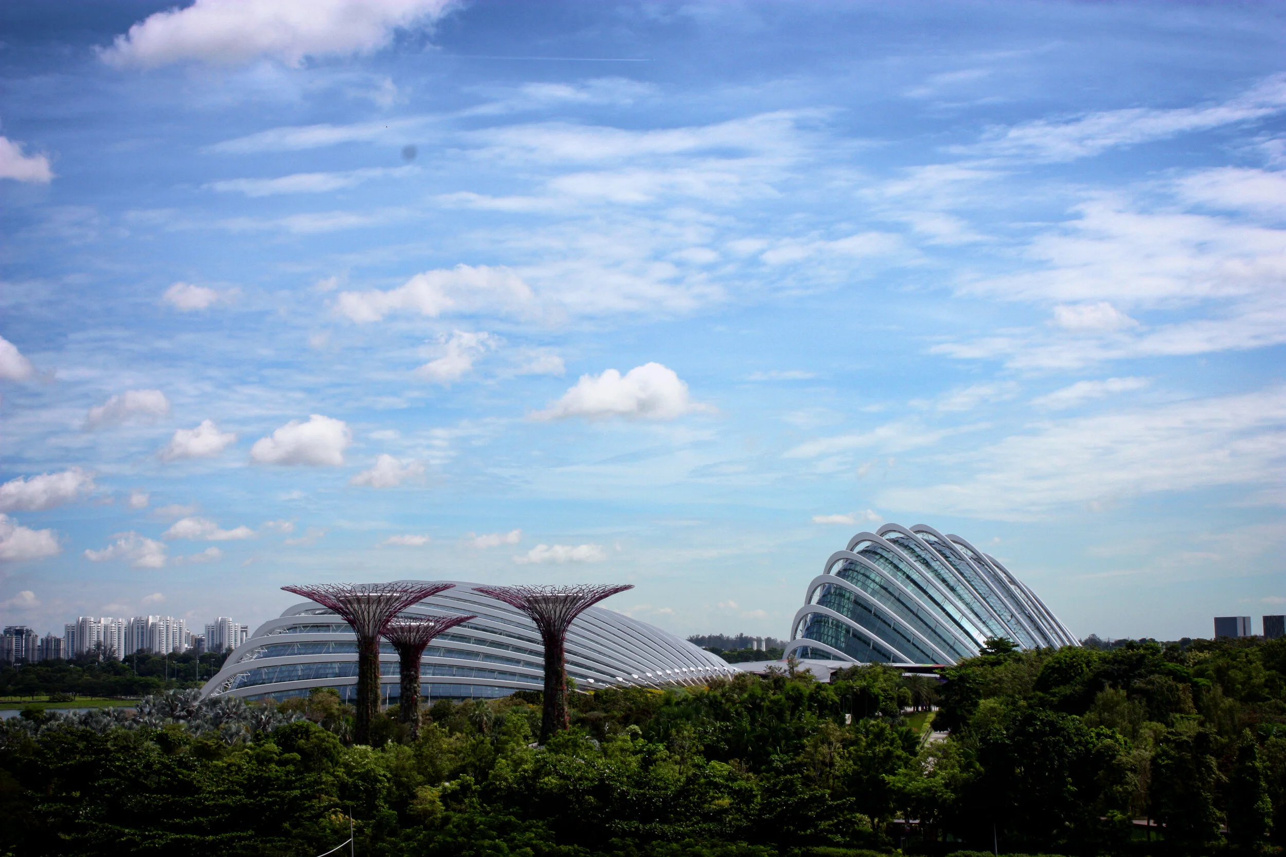 Gardens-by-the-Bay.jpg