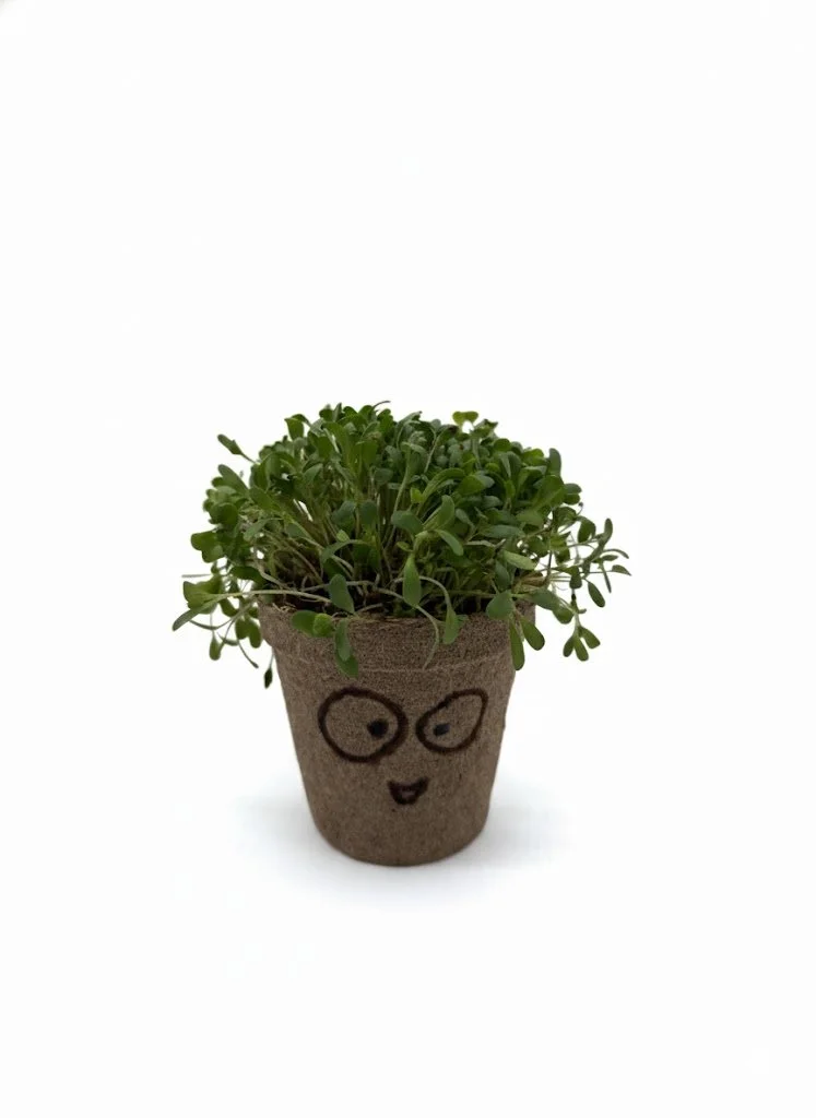 Microgreens smile.jpg