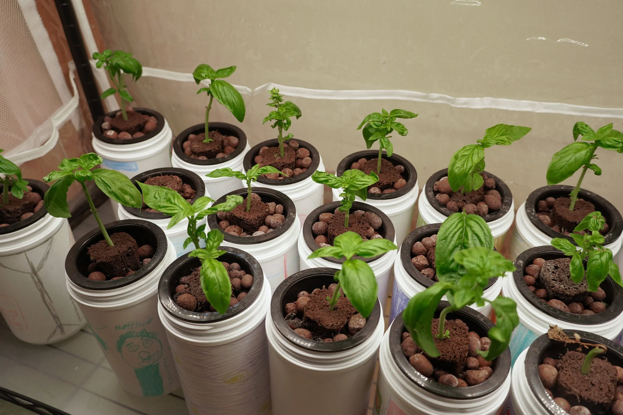 8/26 - 10/7 Grow-It-Yourself: Little Farmers Series (Ages 5 - 9)