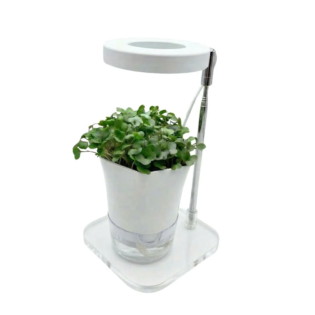 Microgreens Take Home Kit