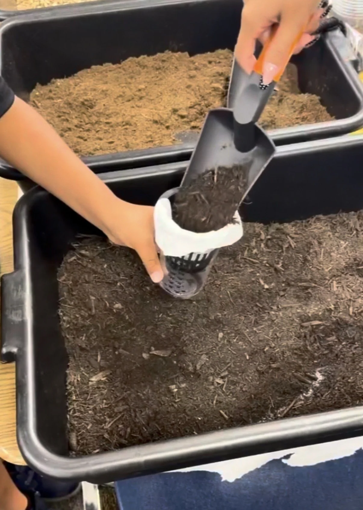 Soil Watering-IMG_0302.jpg
