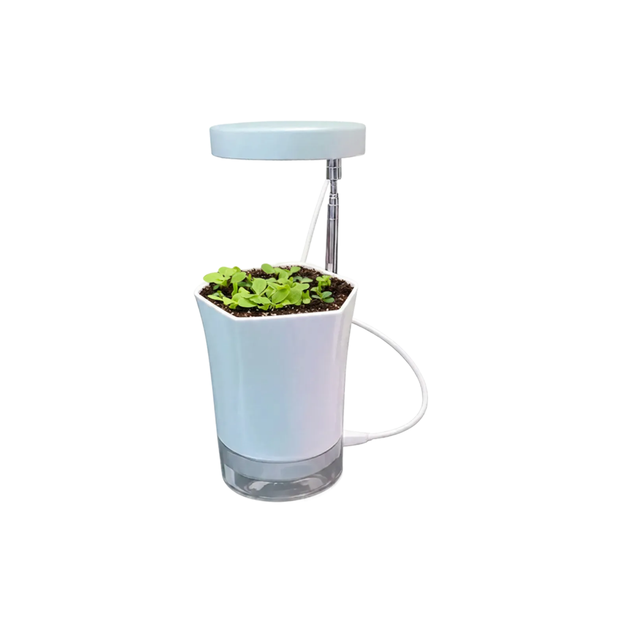 GIY Take Home Kit.png