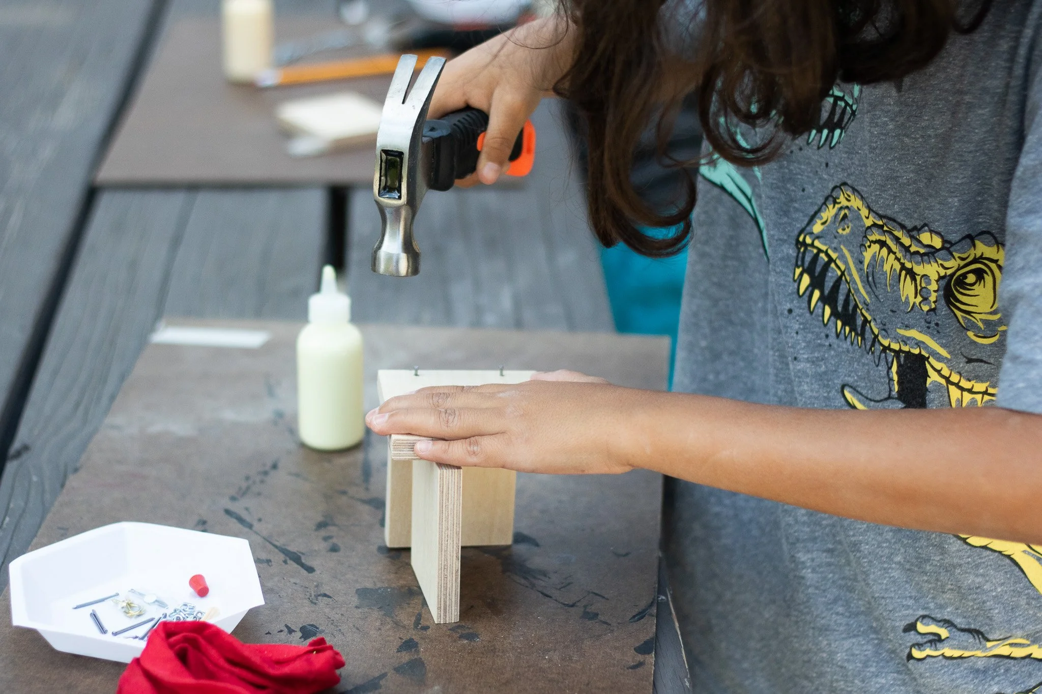 VPR-Birdhouse-Build-_MG_8856.jpg