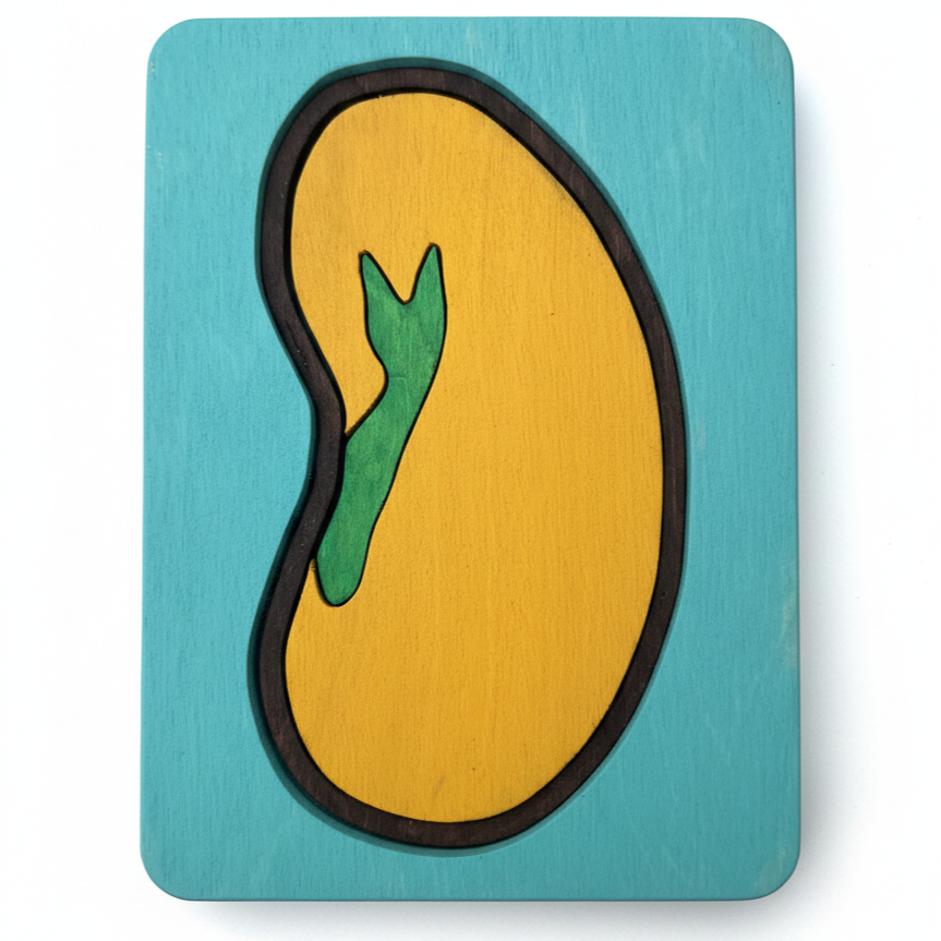 Seed Puzzle.png