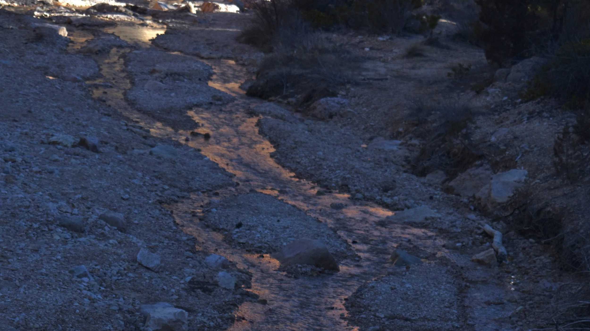 Featured Adventure: Mossy Cave Trail