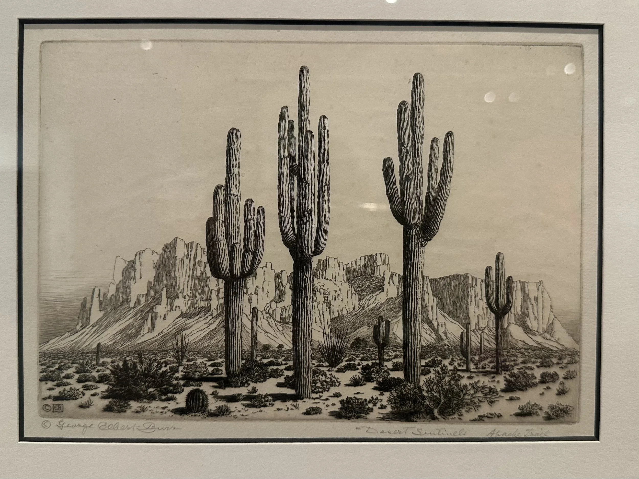 Desert Sentinels Apache Trail, Evening Arizona, Storm on the Little Colorado, The Desert by George E Burr