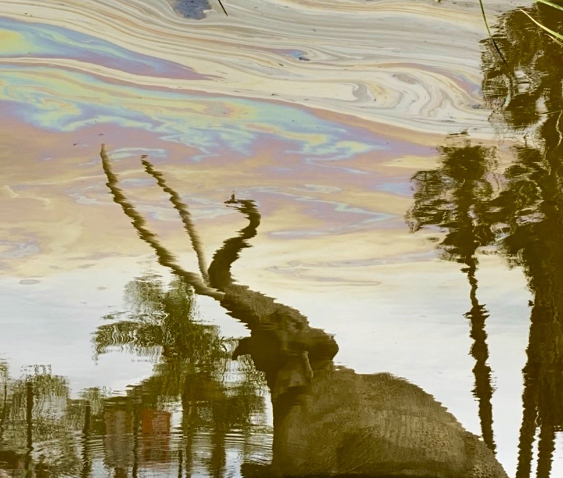 The Ancient Ones: Mammoth Eaters in the Playground of Giants