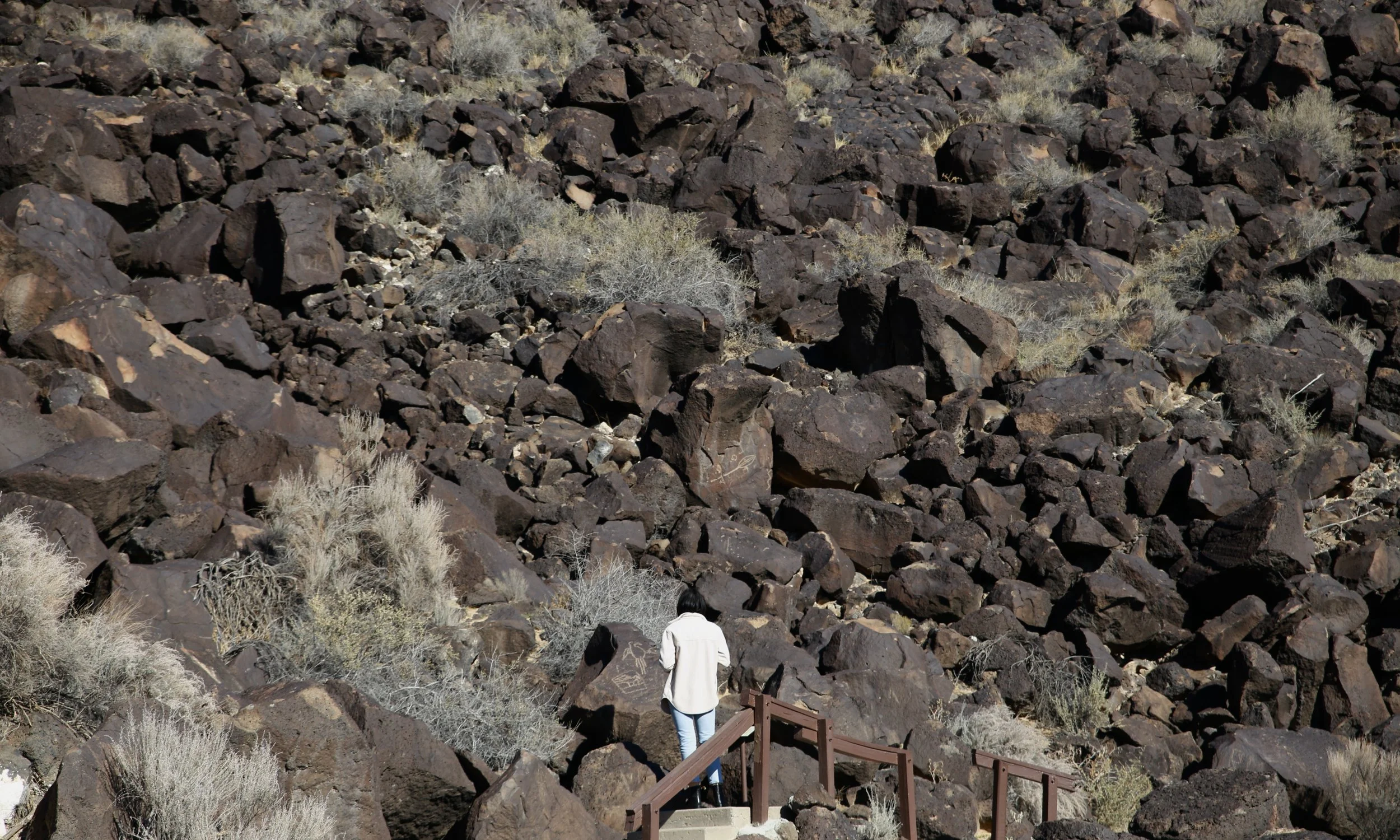 Wife &amp; Macaw at Petroglyph National Monument