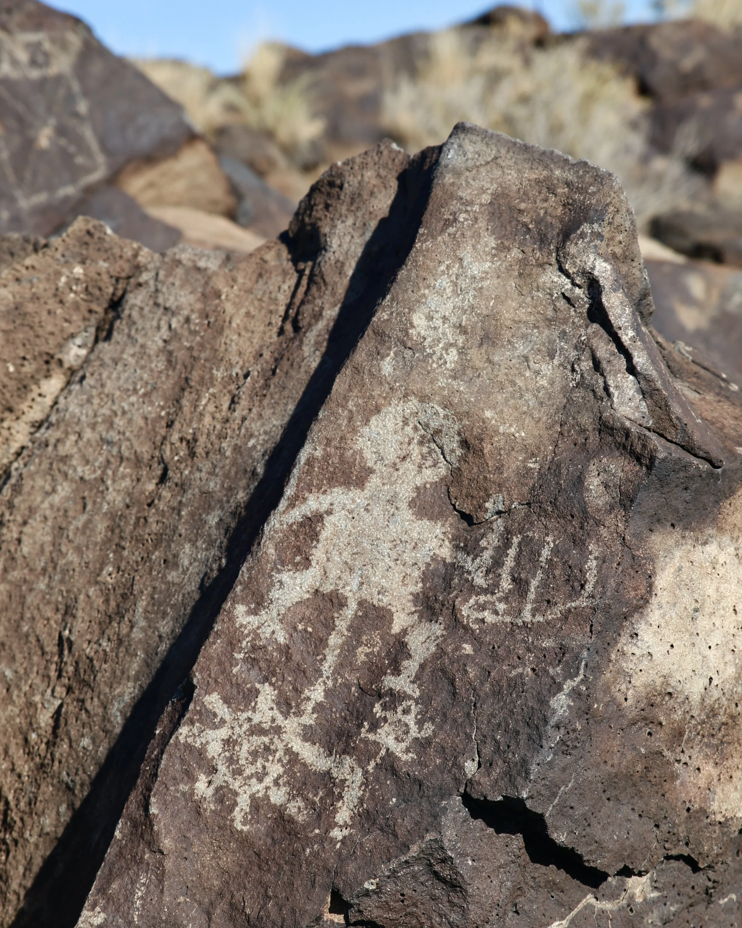 Petroglyphs at Petroglyph National Monument in New Mexico
