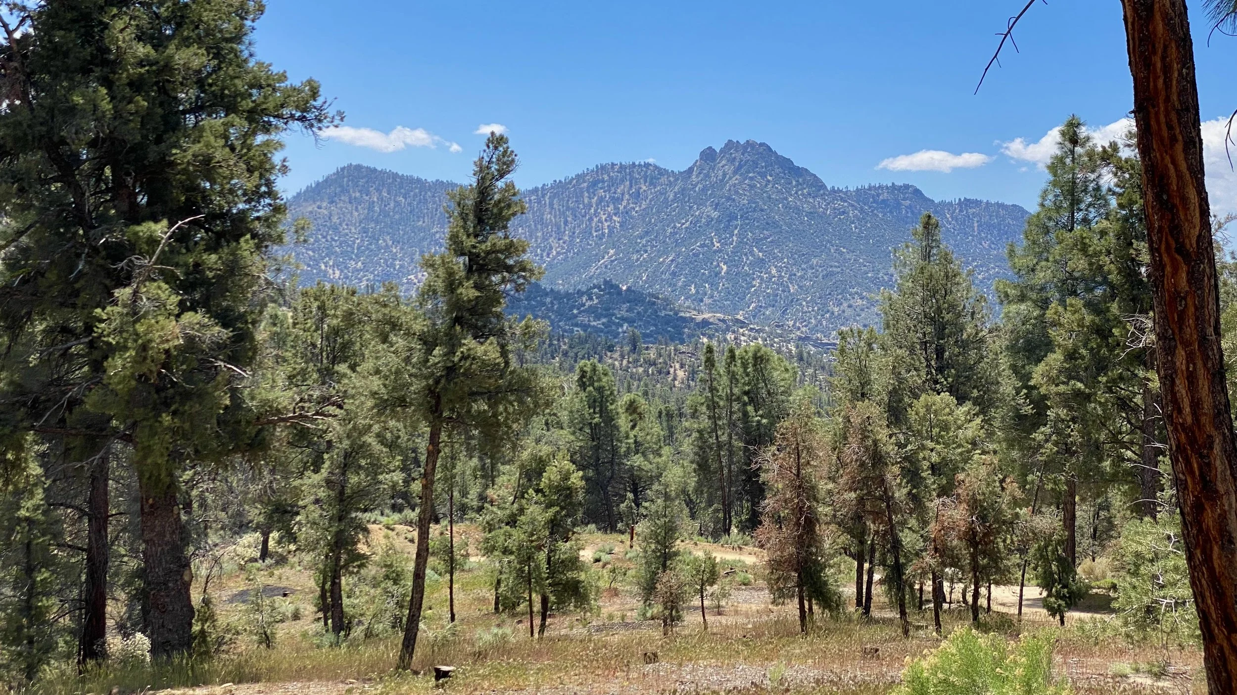 The Southern Sierra Nevadas