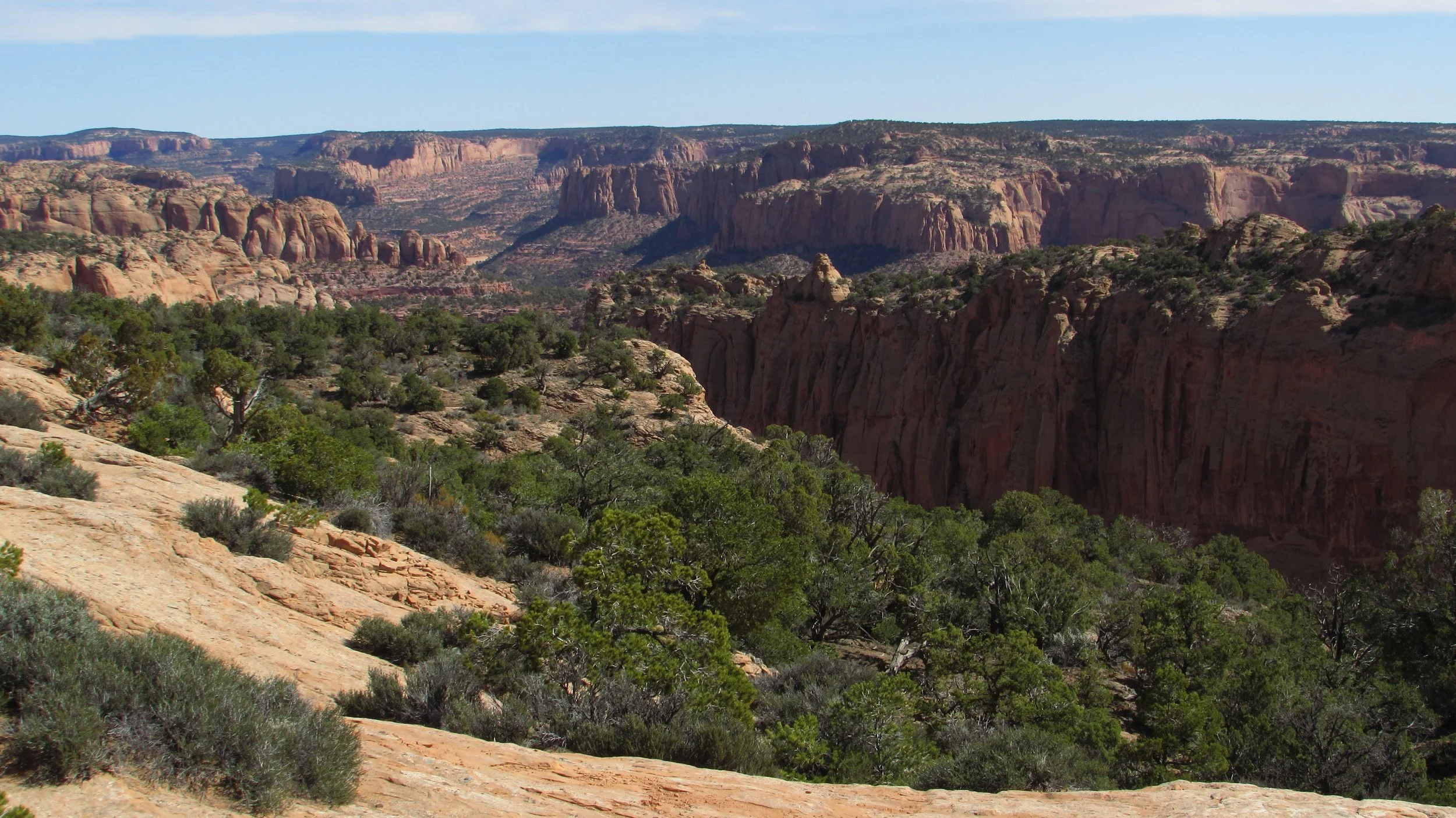 Navajo National Monument in Arizona