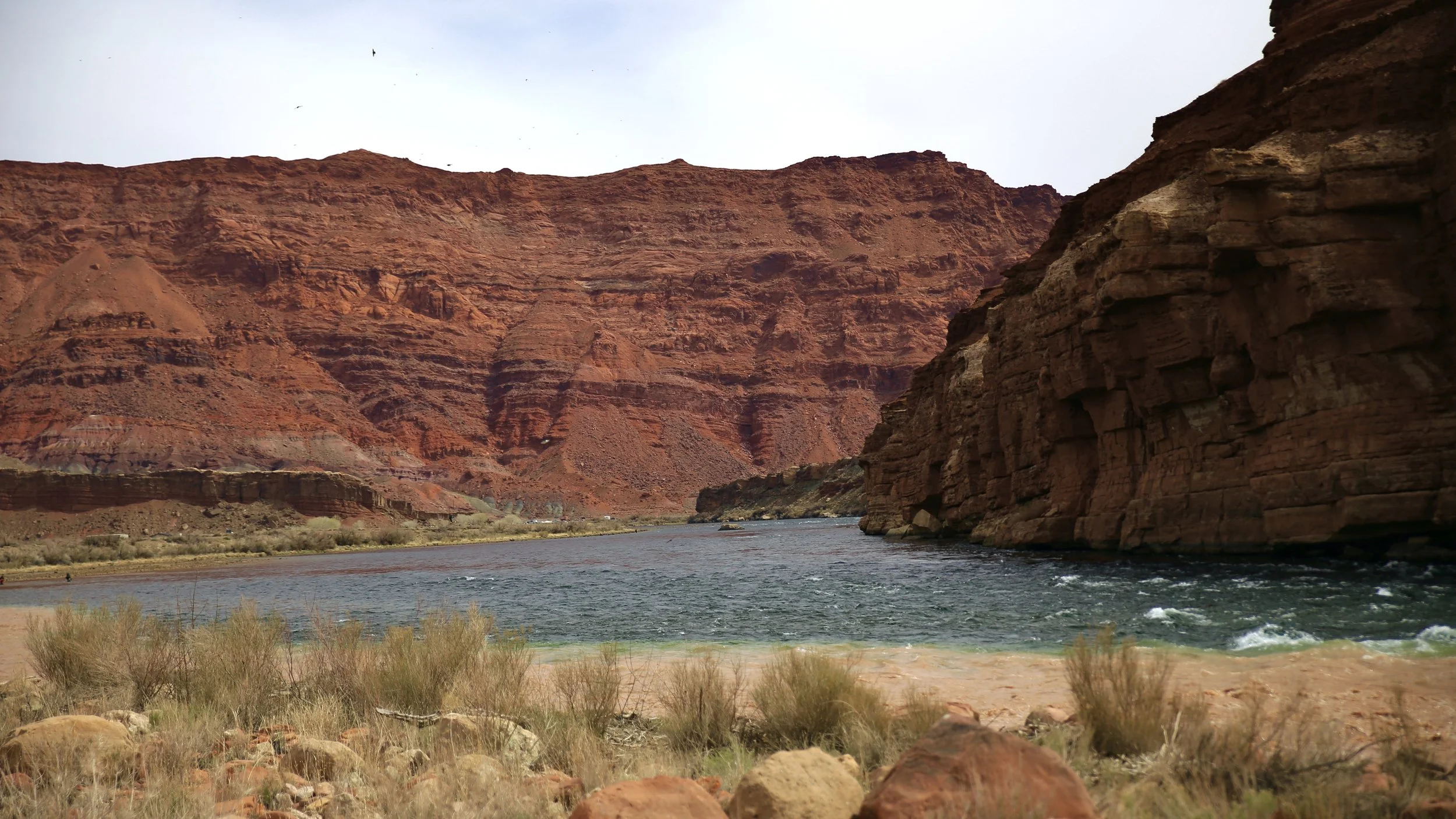 Colorado River at Lee's Ferry in Arizona