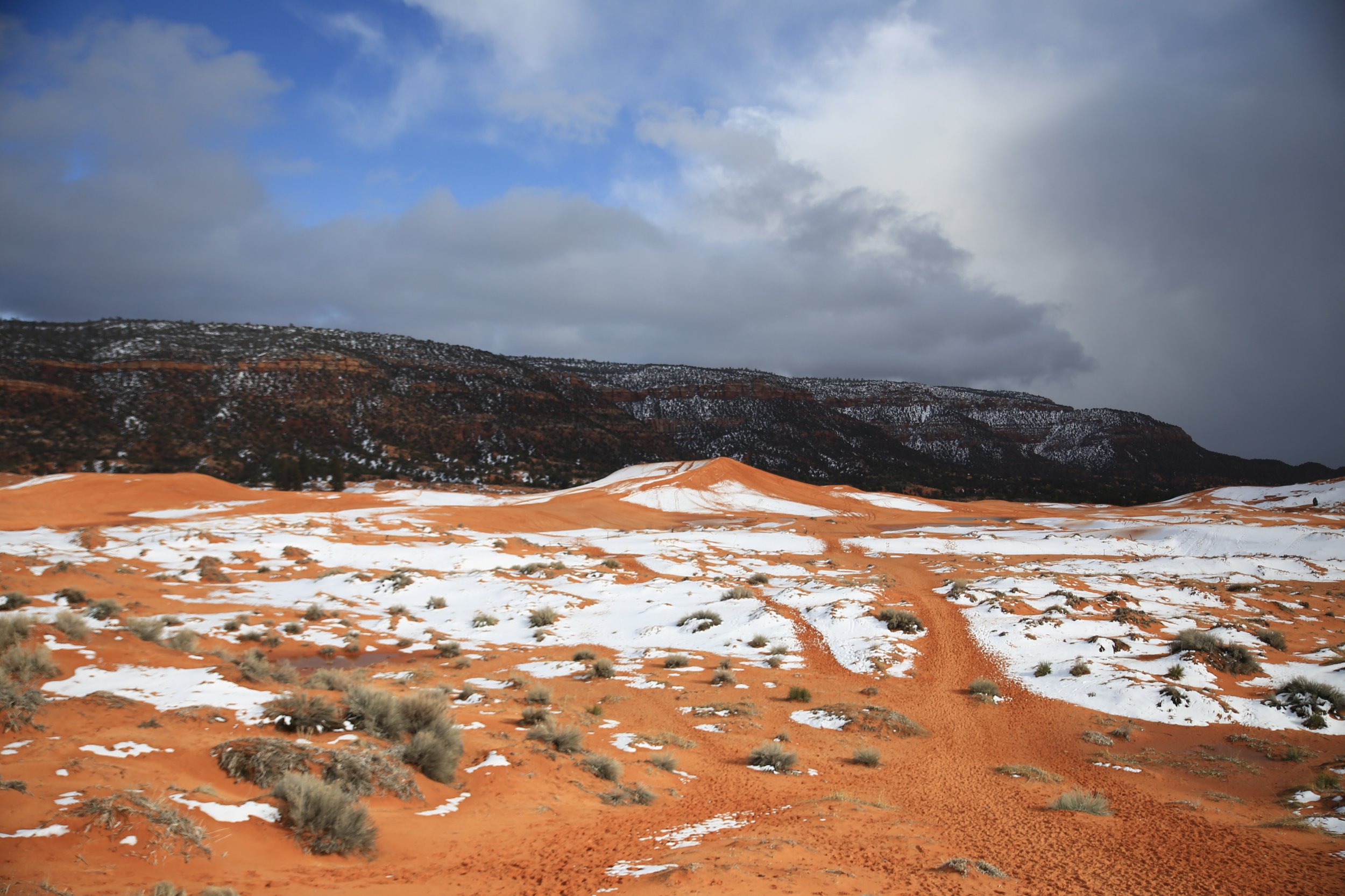 Coral Pink Sand Dunes and the Hurricane Cliffs of Utah