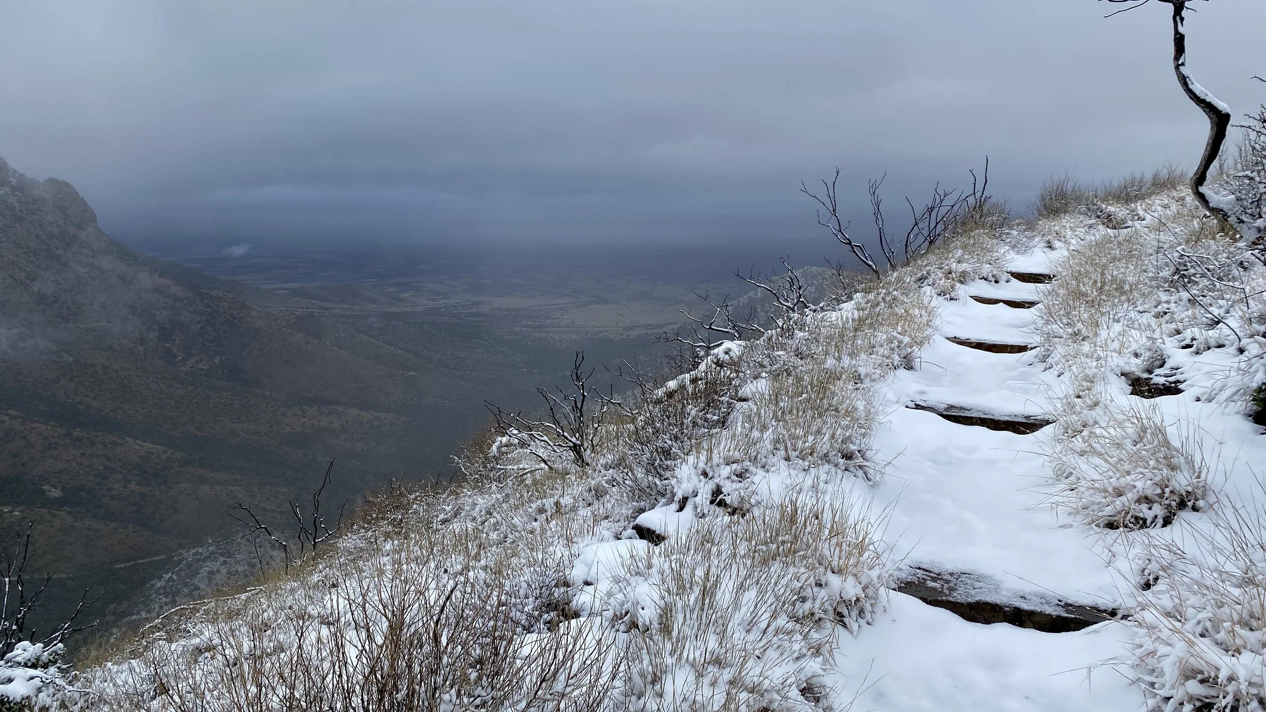 Snow at Coronado on the Border of Arizona and Mexico in March