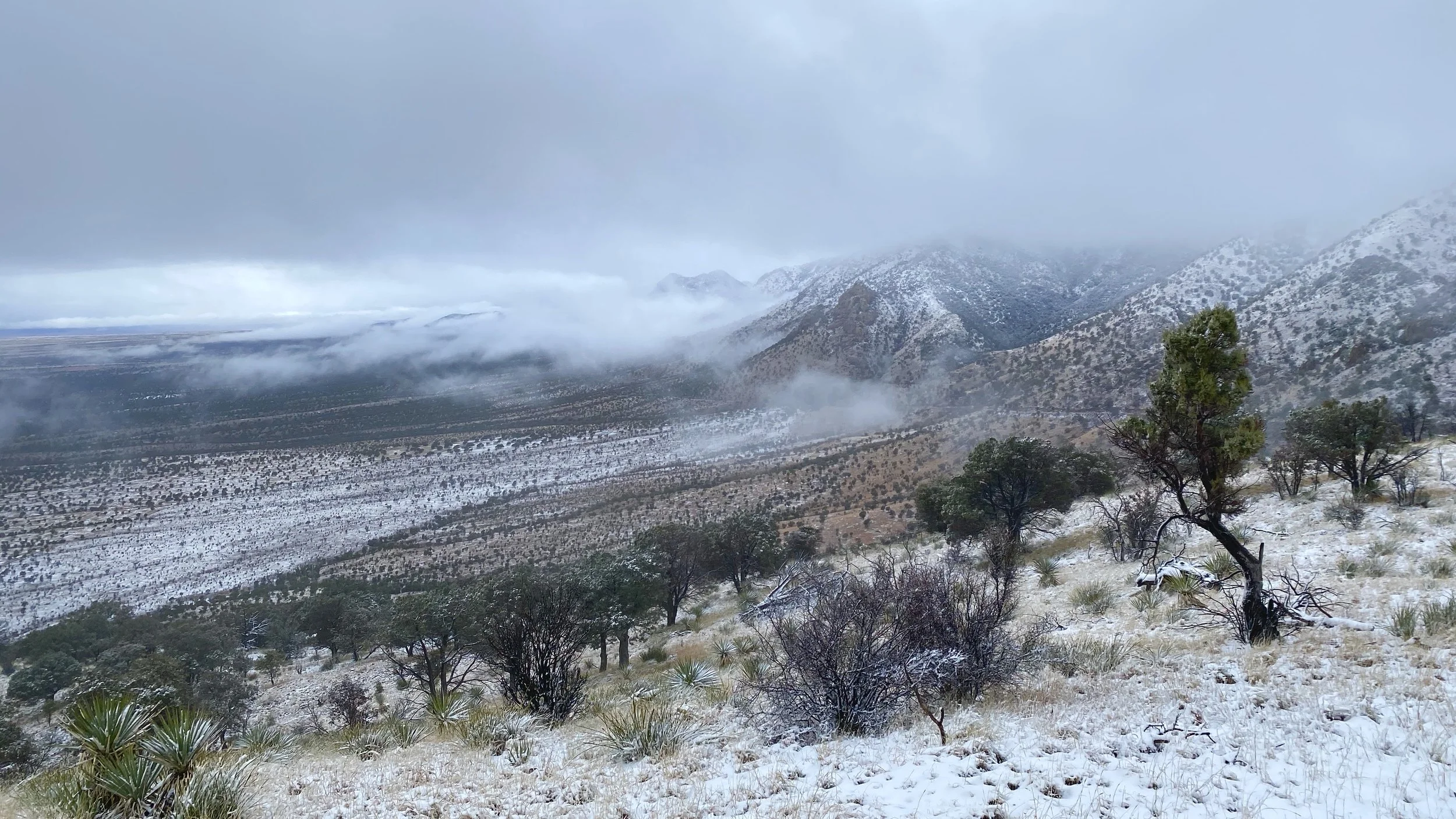 Snow at Coronado on the Border of Arizona and Mexico in March