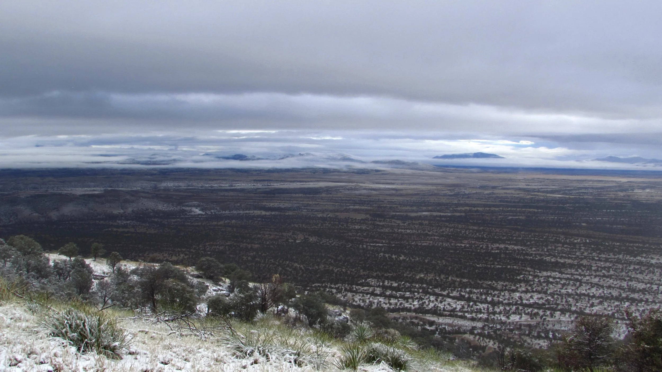 Snow at Coronado on the Border of Arizona and Mexico in March