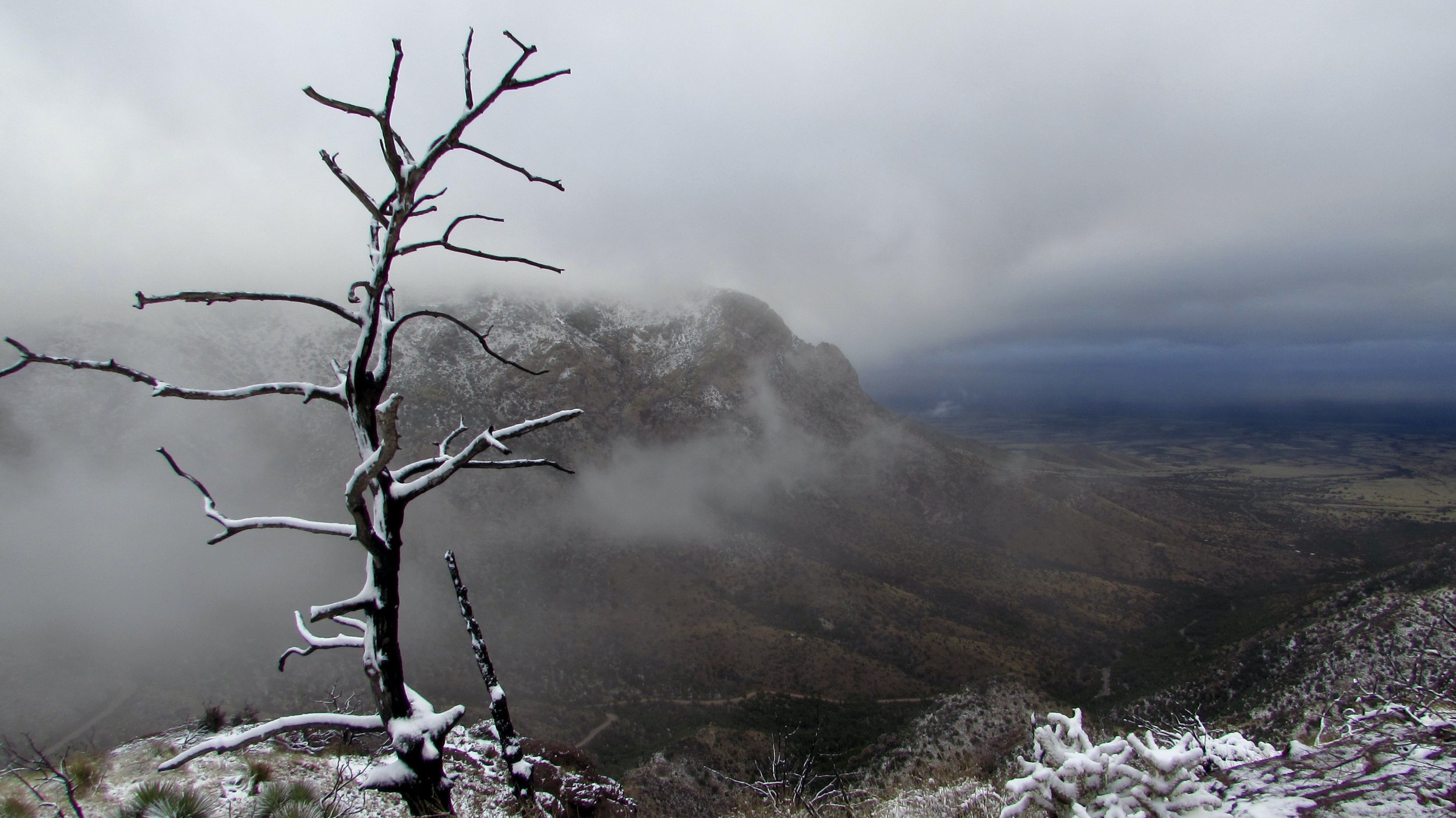 Snow at Coronado on the Border of Arizona and Mexico in March