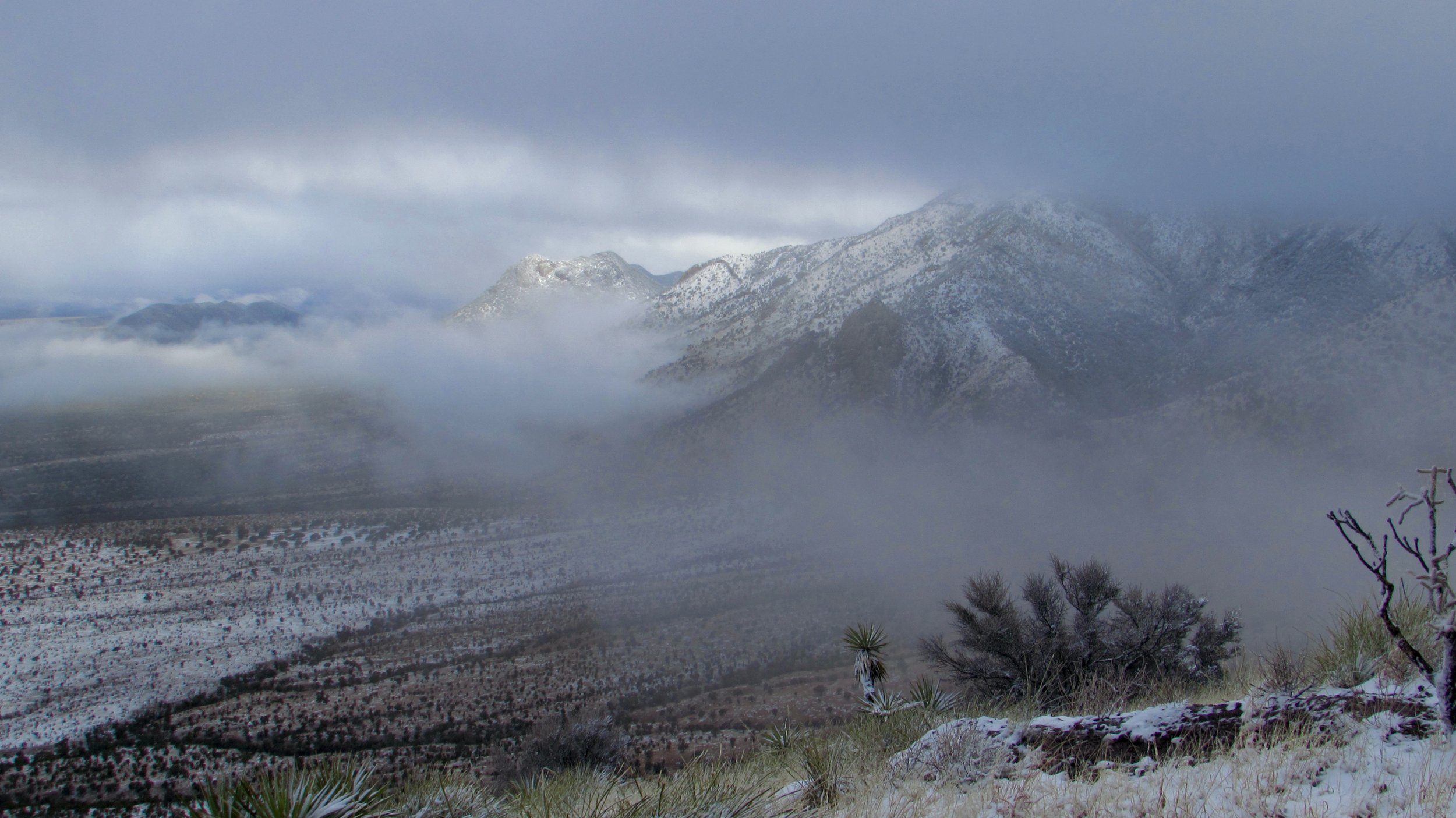 Snow at Coronado on the Border of Arizona and Mexico in March
