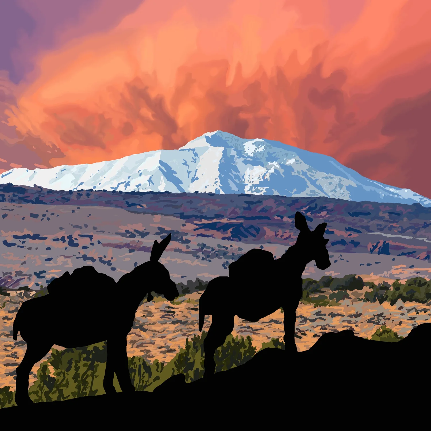 The American Southwest