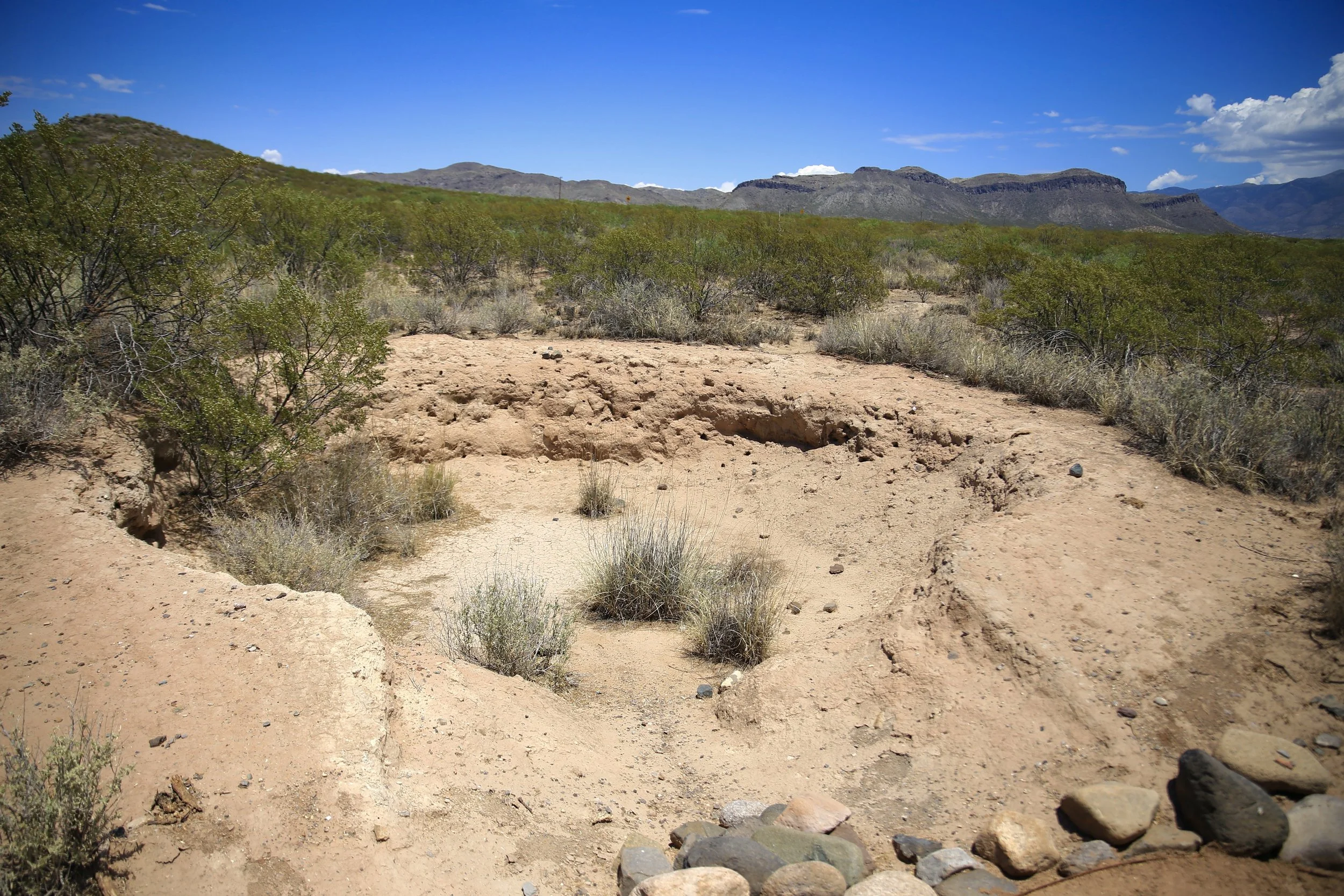 Three Rivers Petroglyph Site in New Mexico in the American Southwest ...