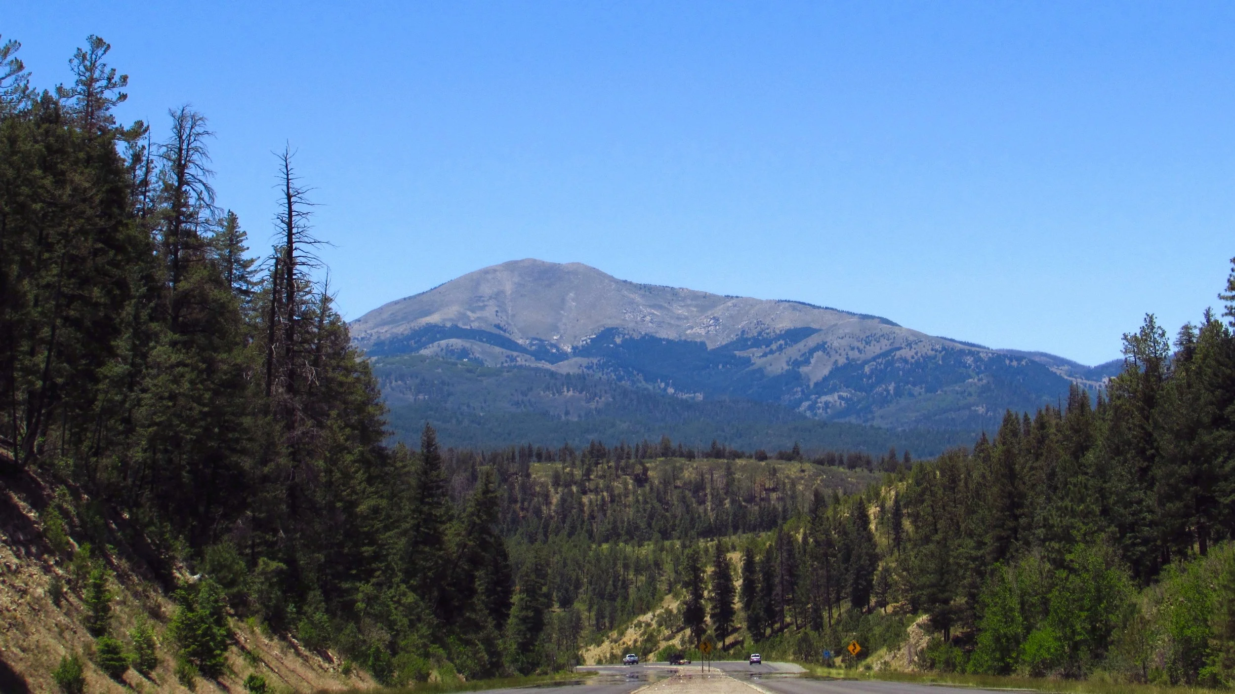 White Mountain Near Ruidoso