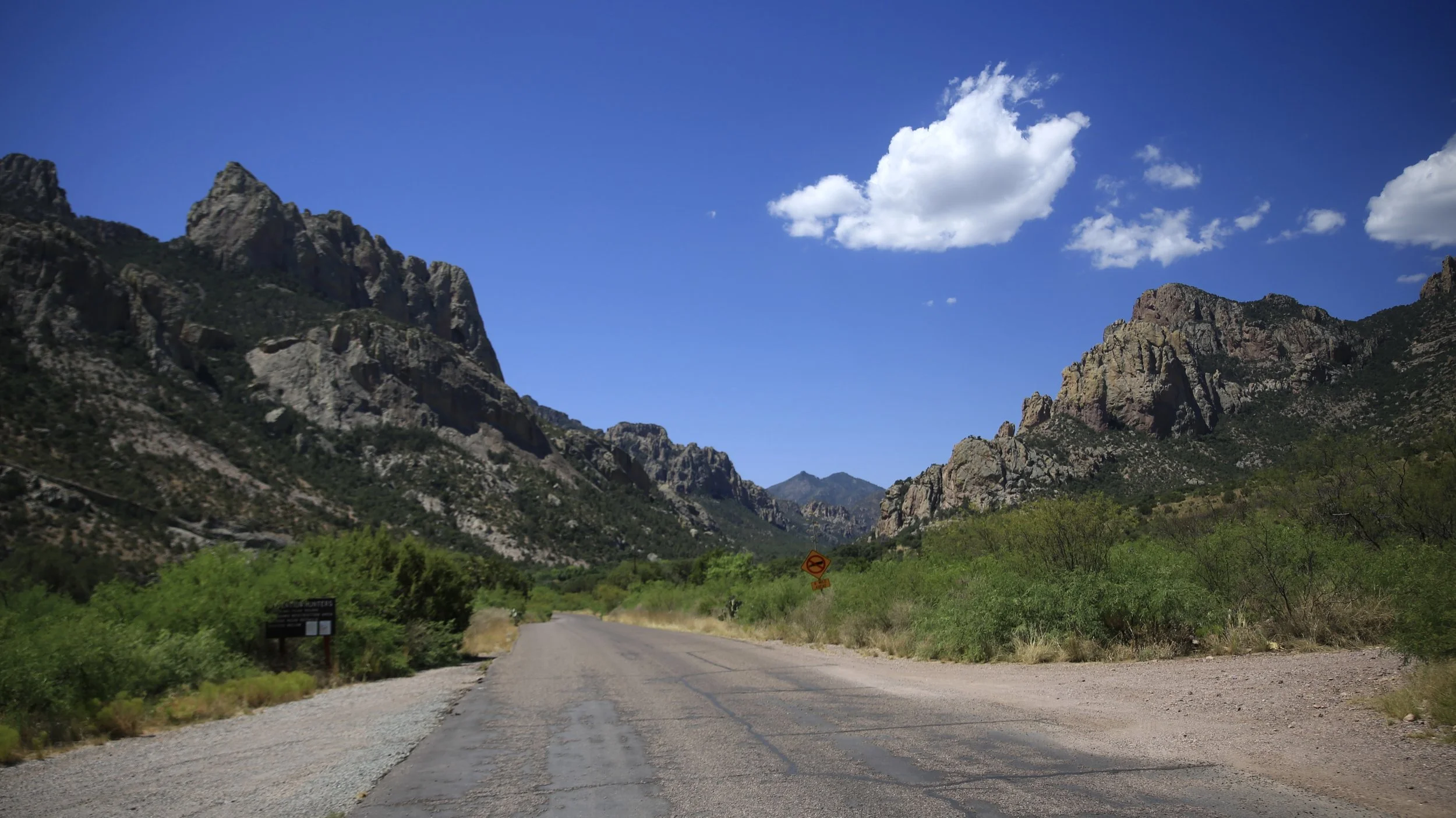 Chiricahua Mountains