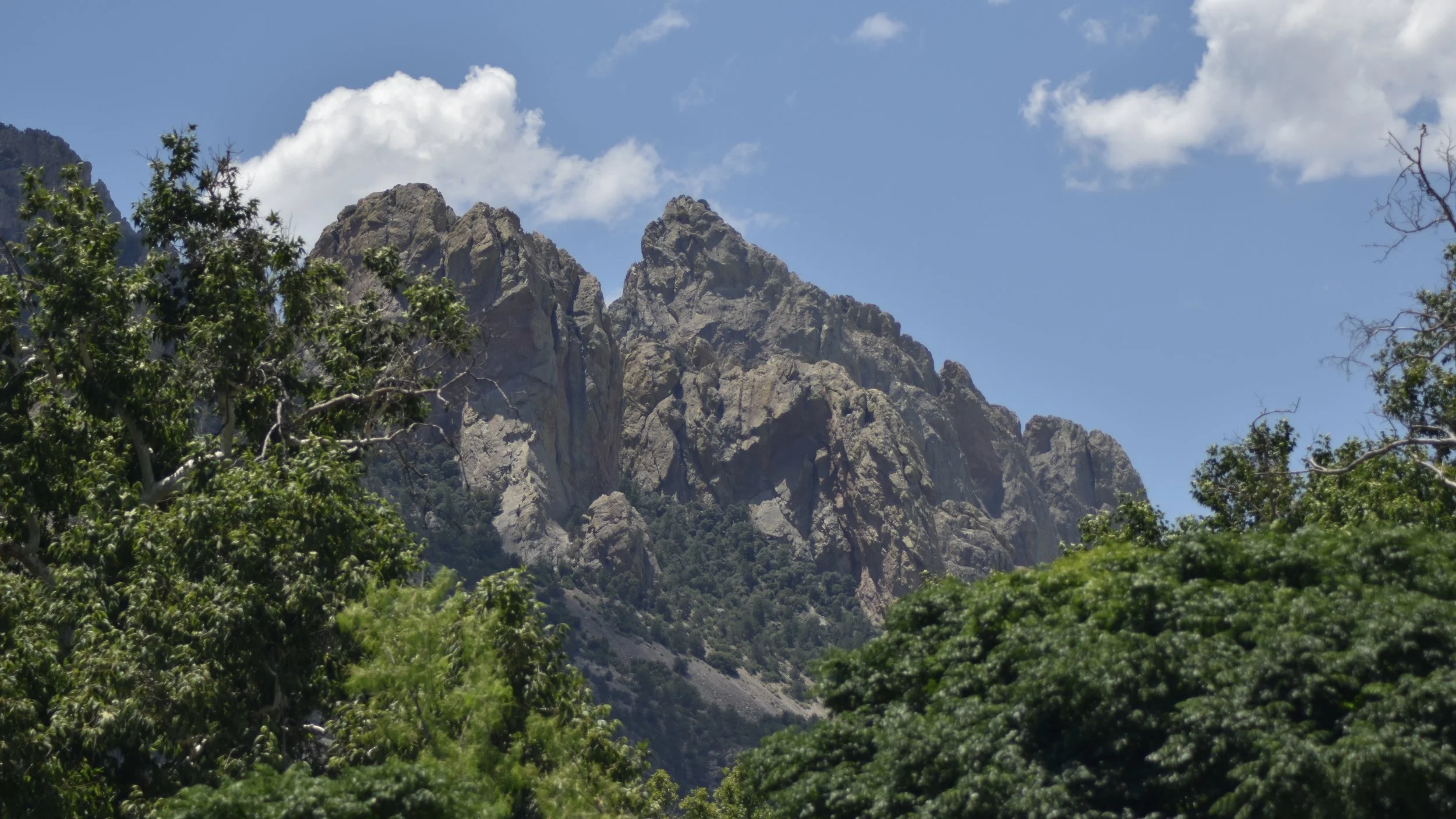 Chiricahua Mountains