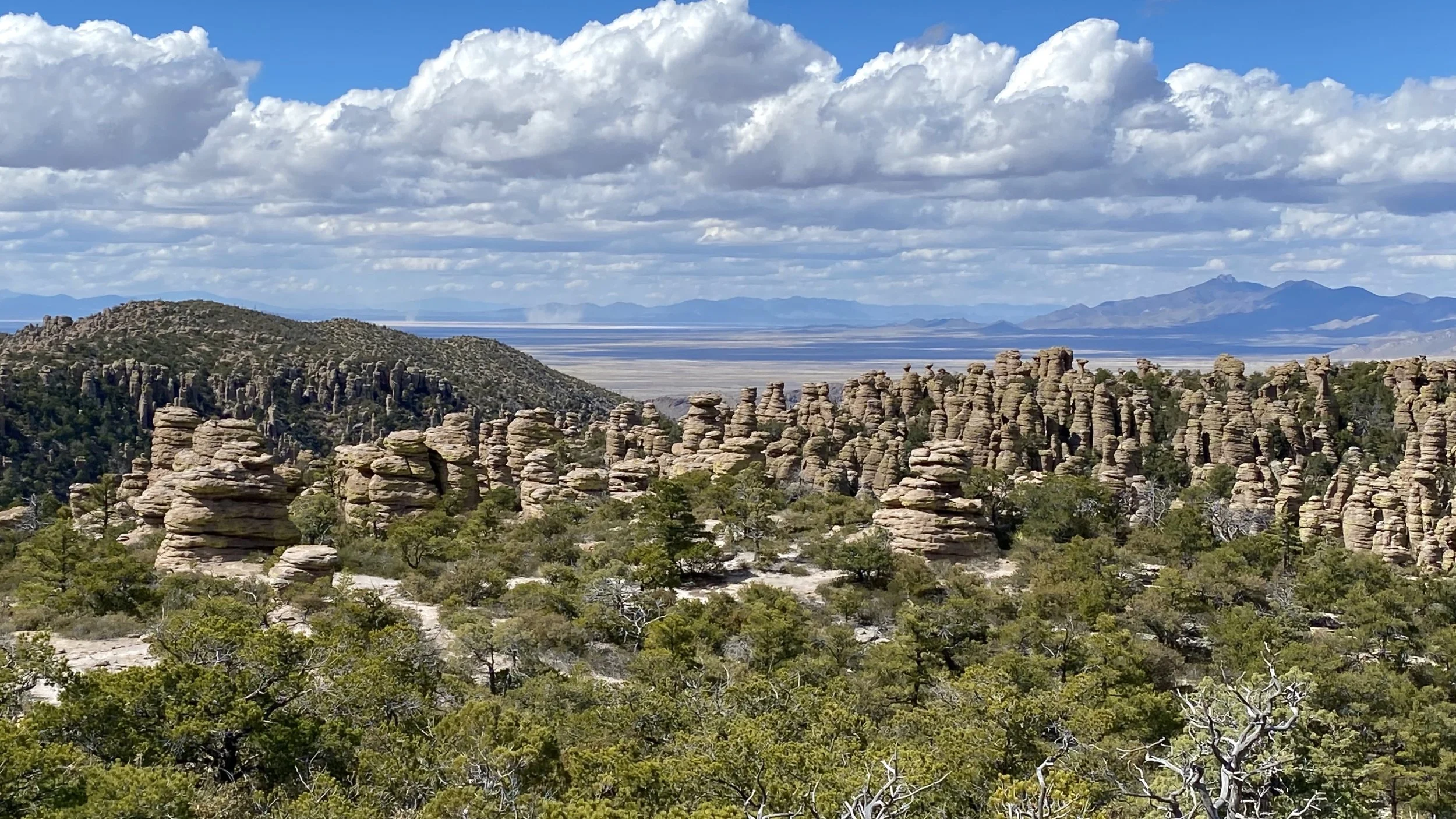 Chiricahua Mountains