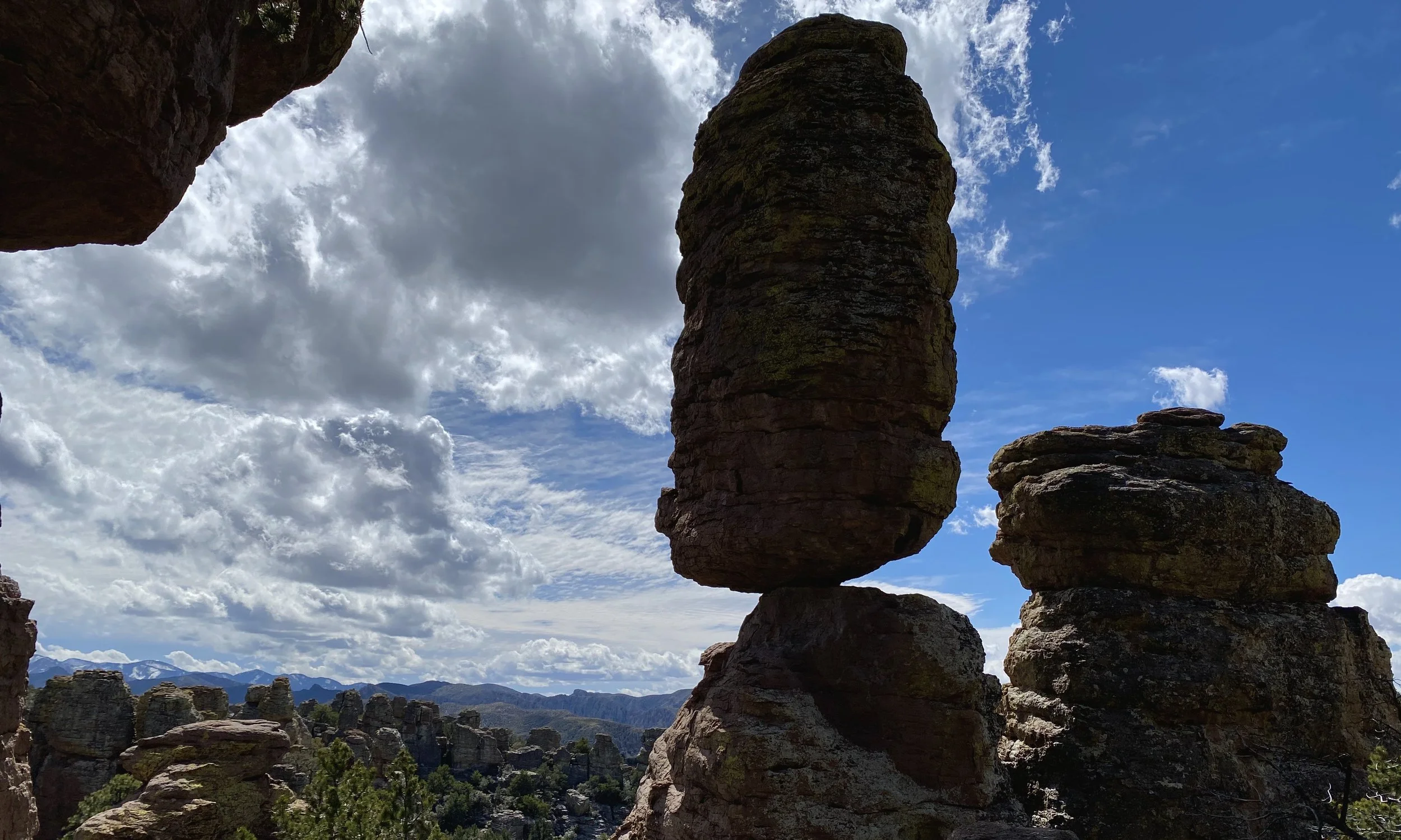 Chiricahua Mountains