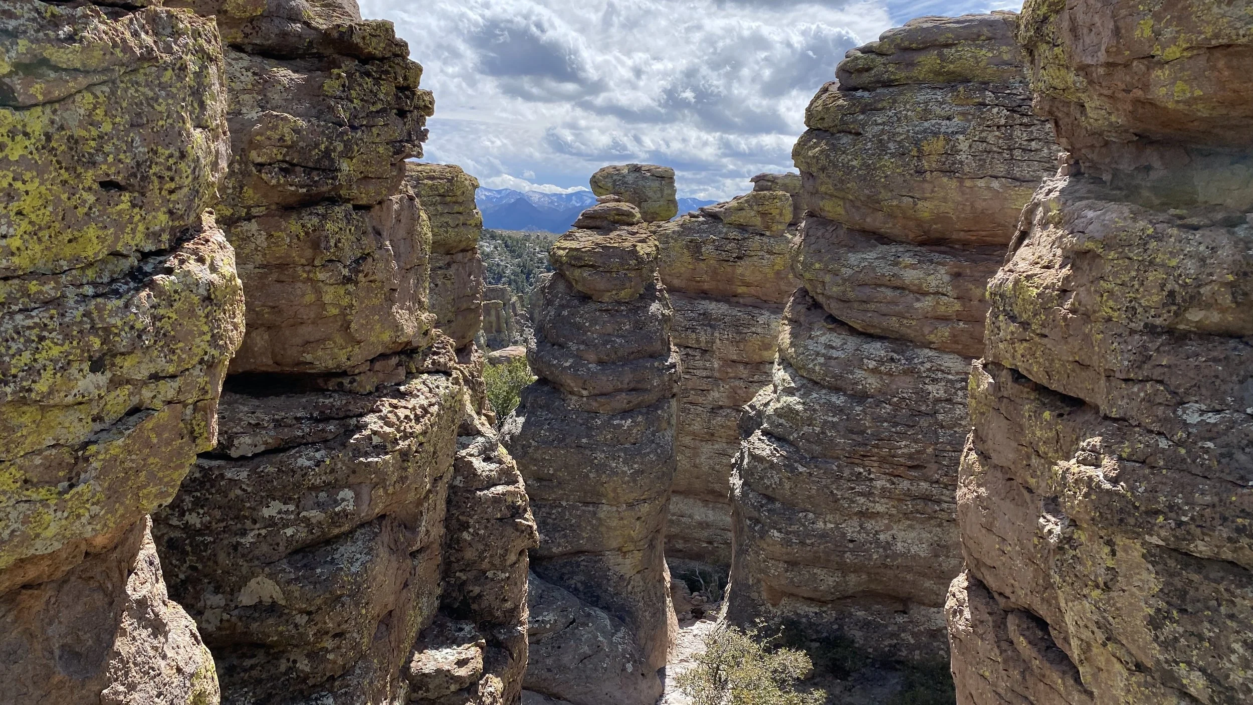Chiricahua Mountains