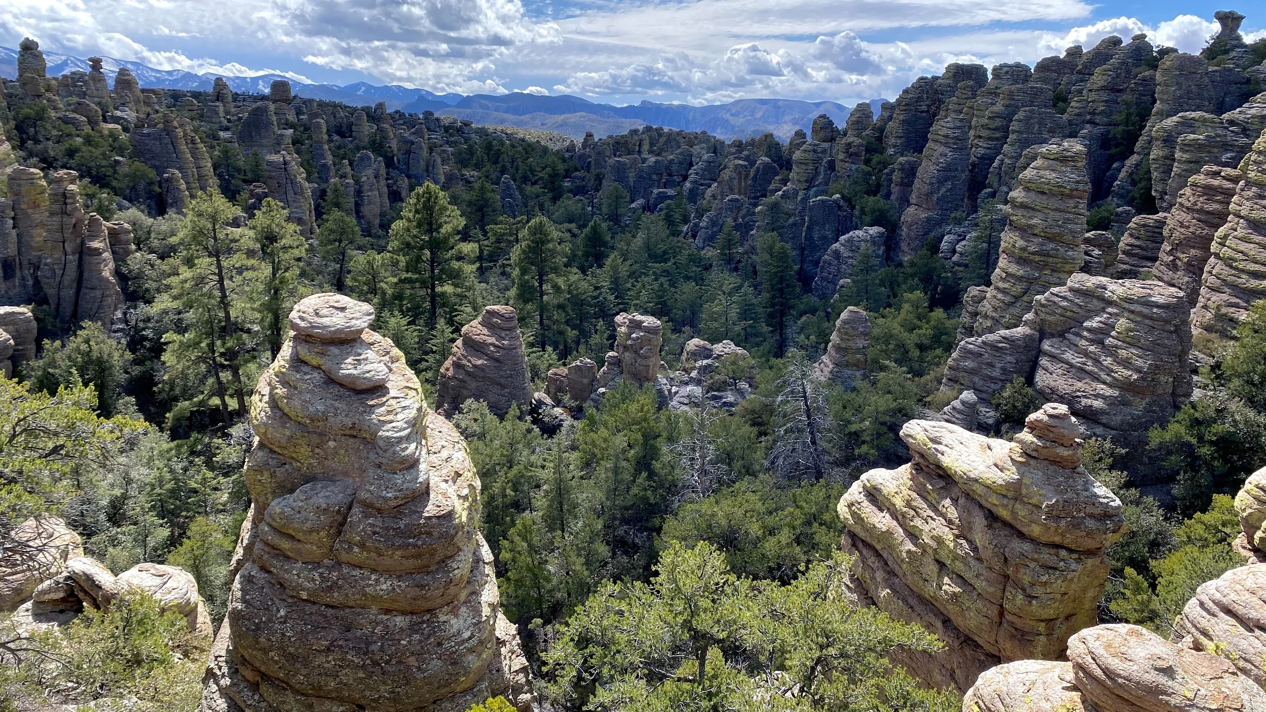 Chiricahua Mountains