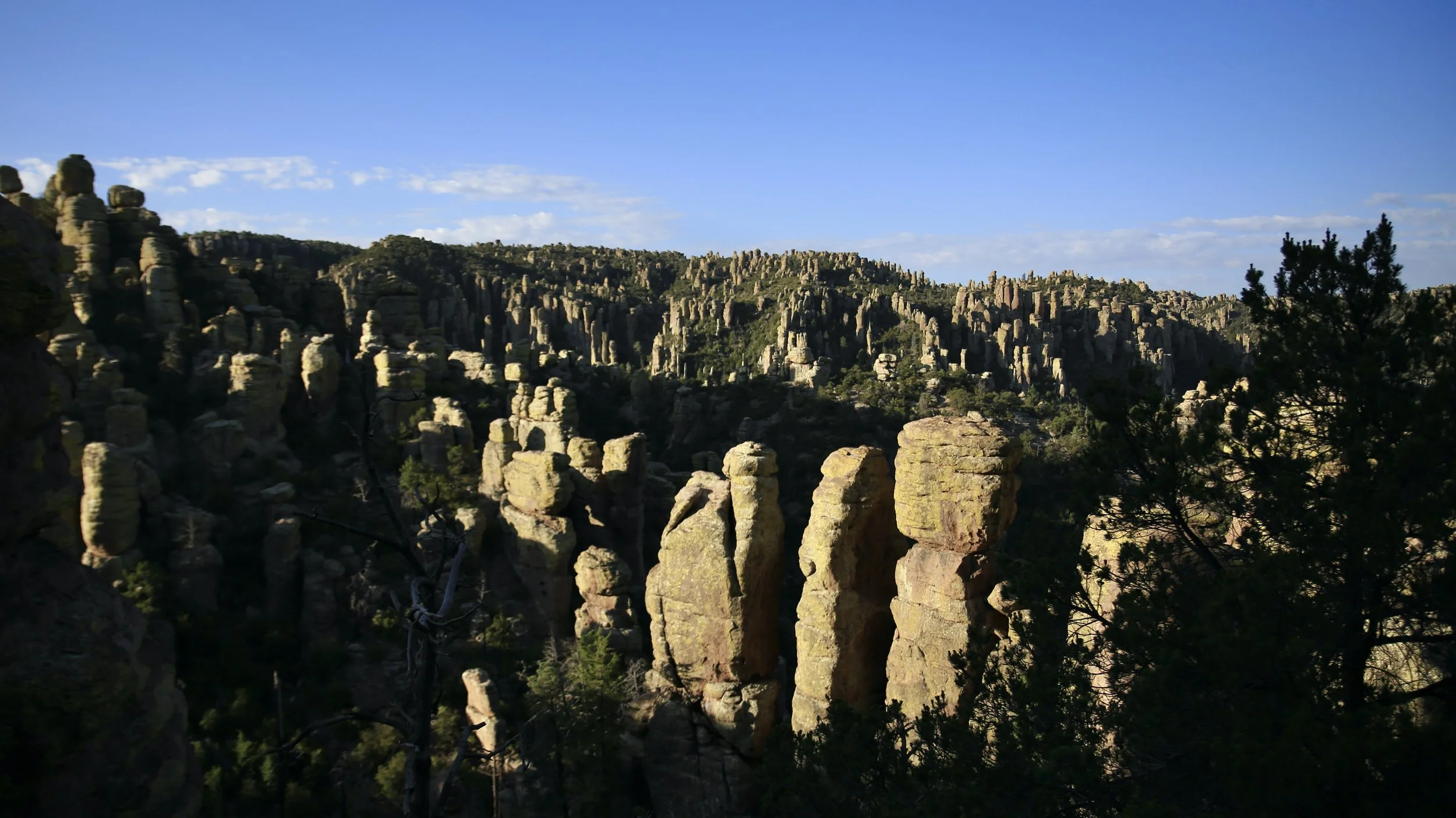 Chiricahua Mountains