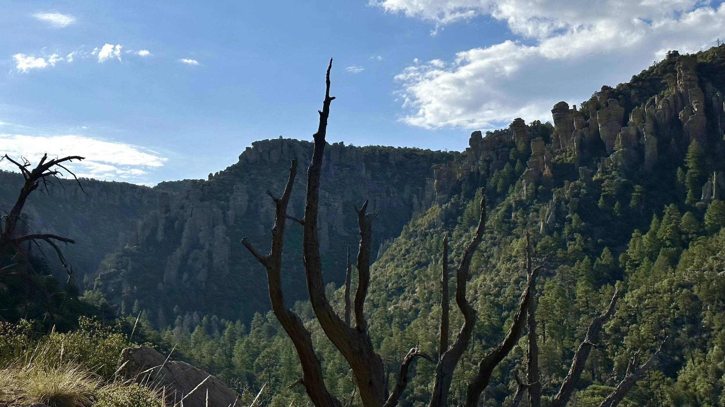 Chiricahua Mountains