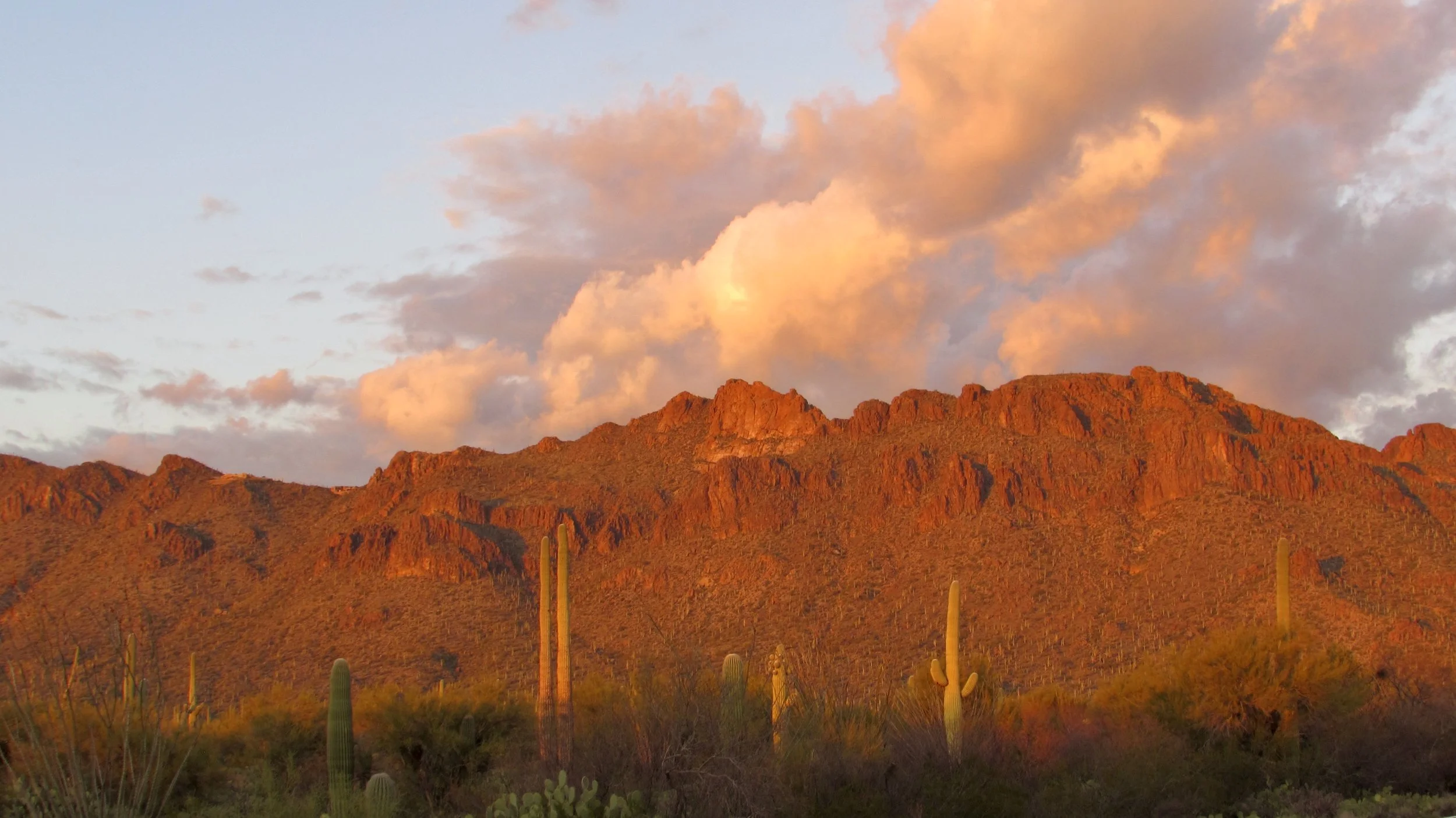 Tucson Wilderness