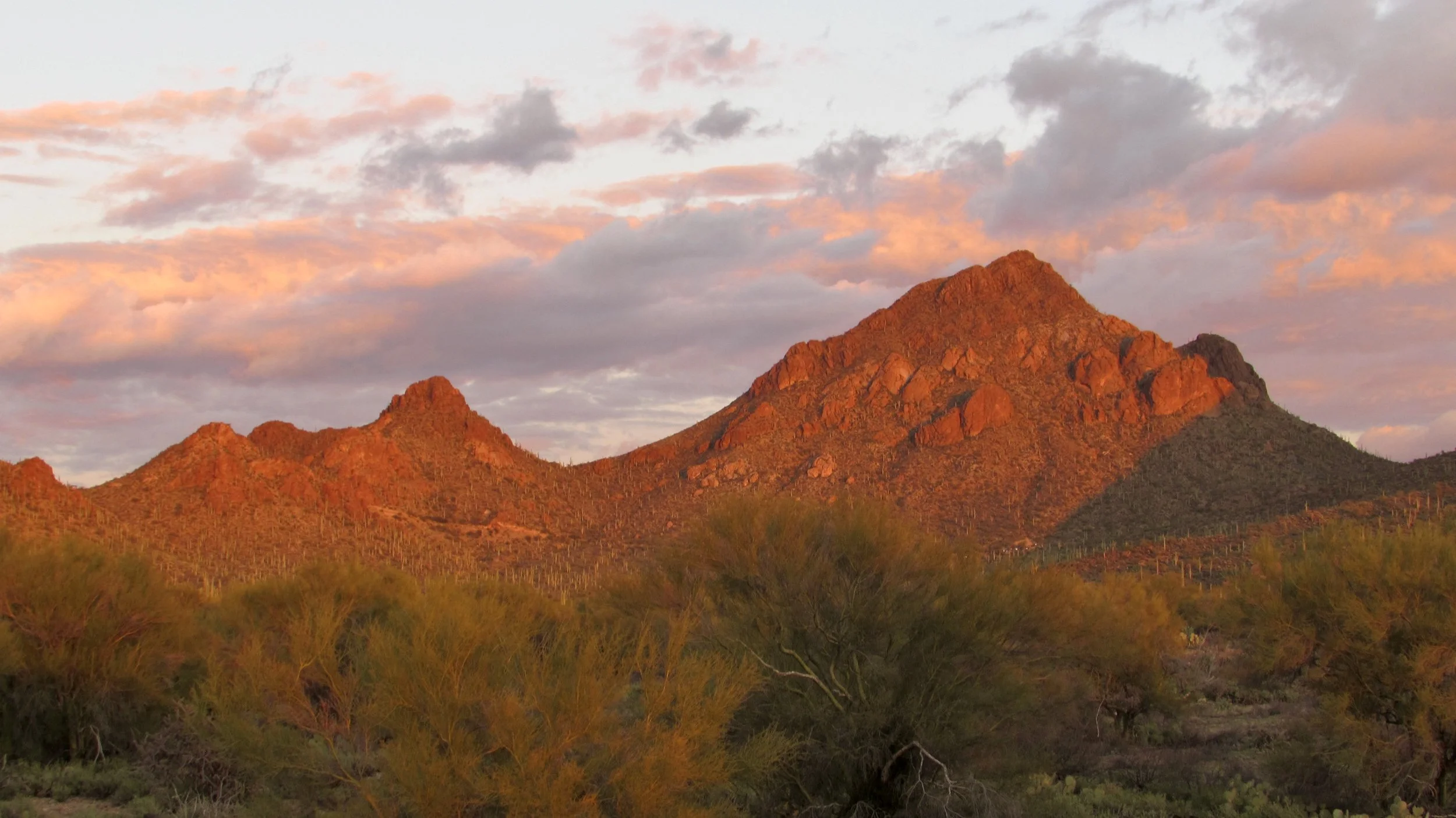 Tucson Wilderness
