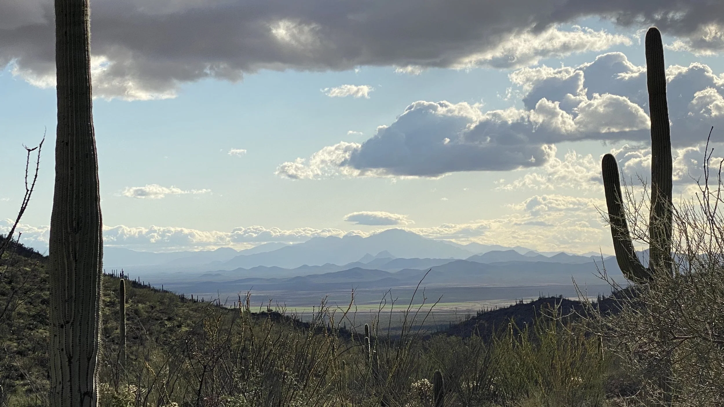 Tucson Wilderness