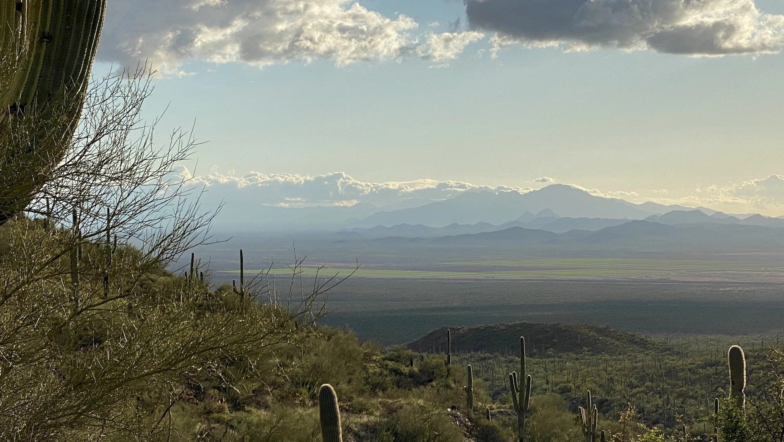 Tucson Wilderness