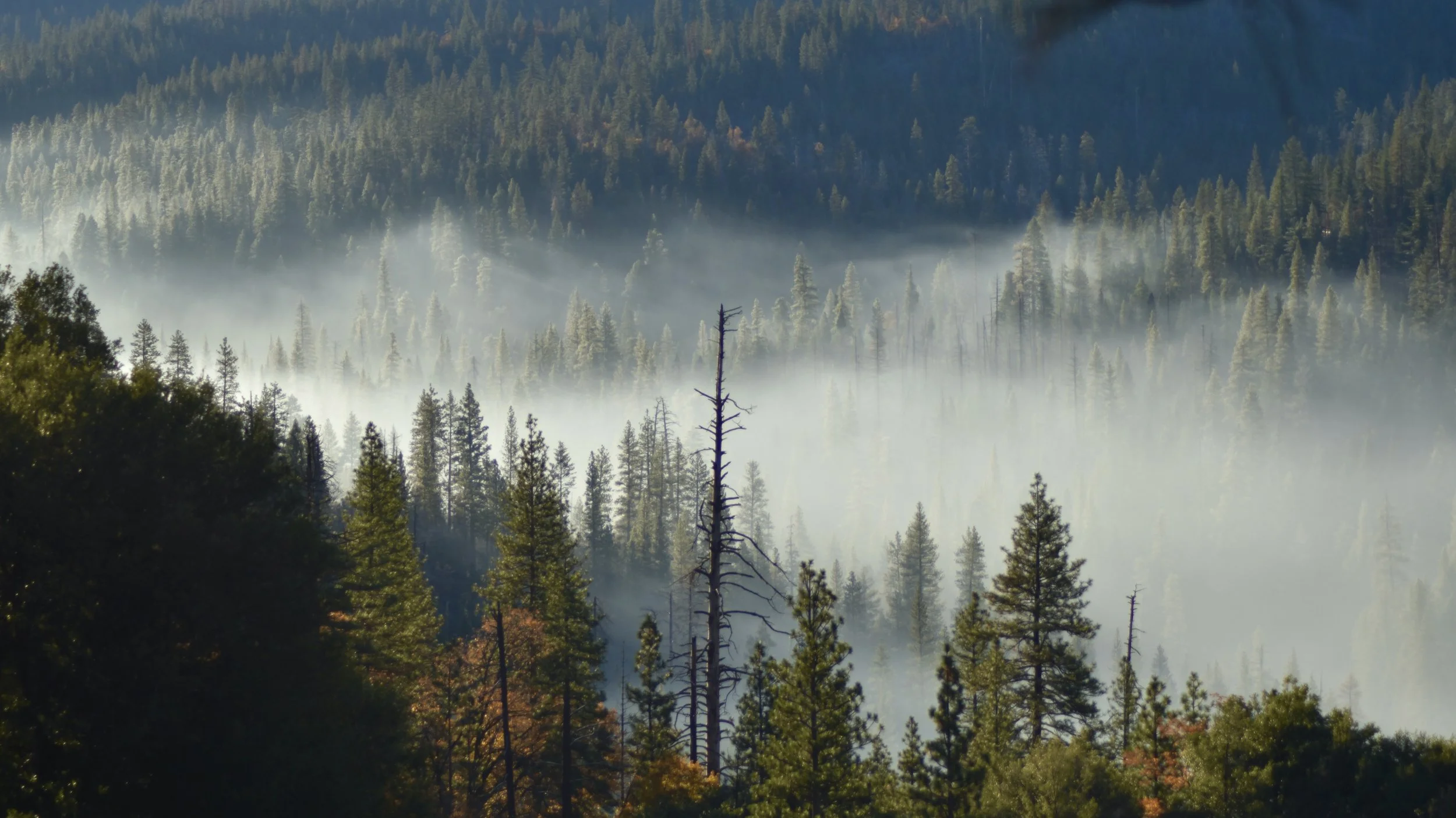 Yosemite Valley in the California Sierra Nevadas