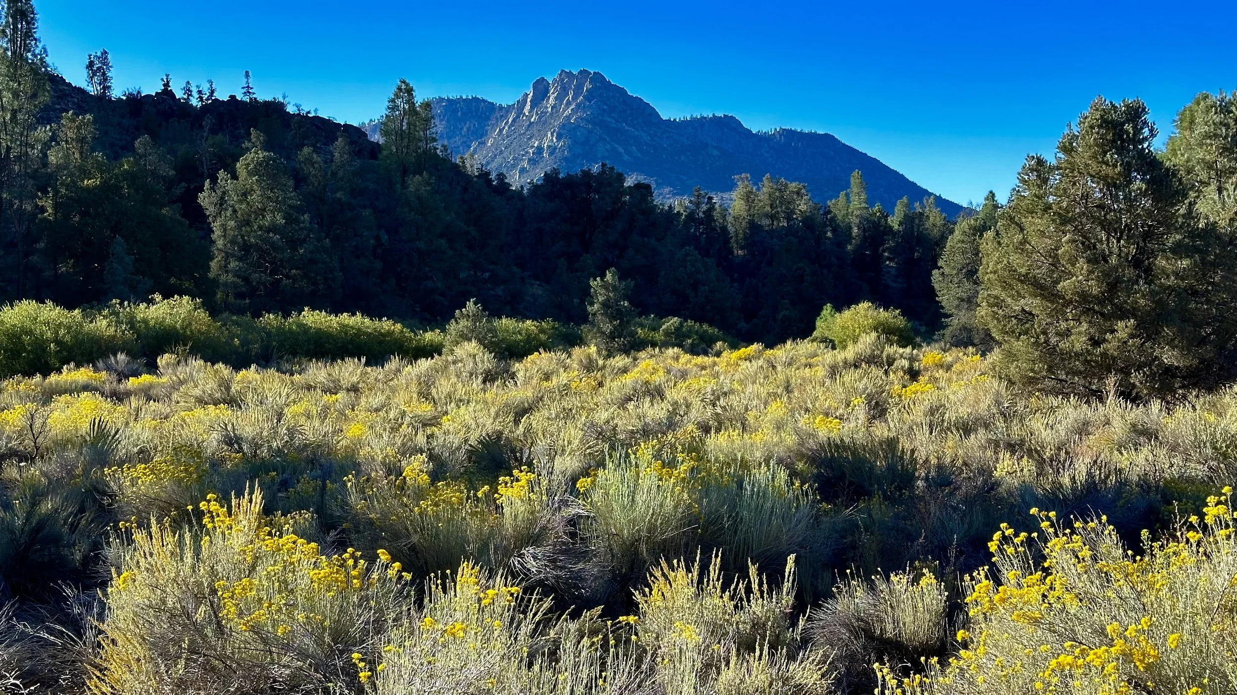 Southern Sierra Nevada Mountains of California
