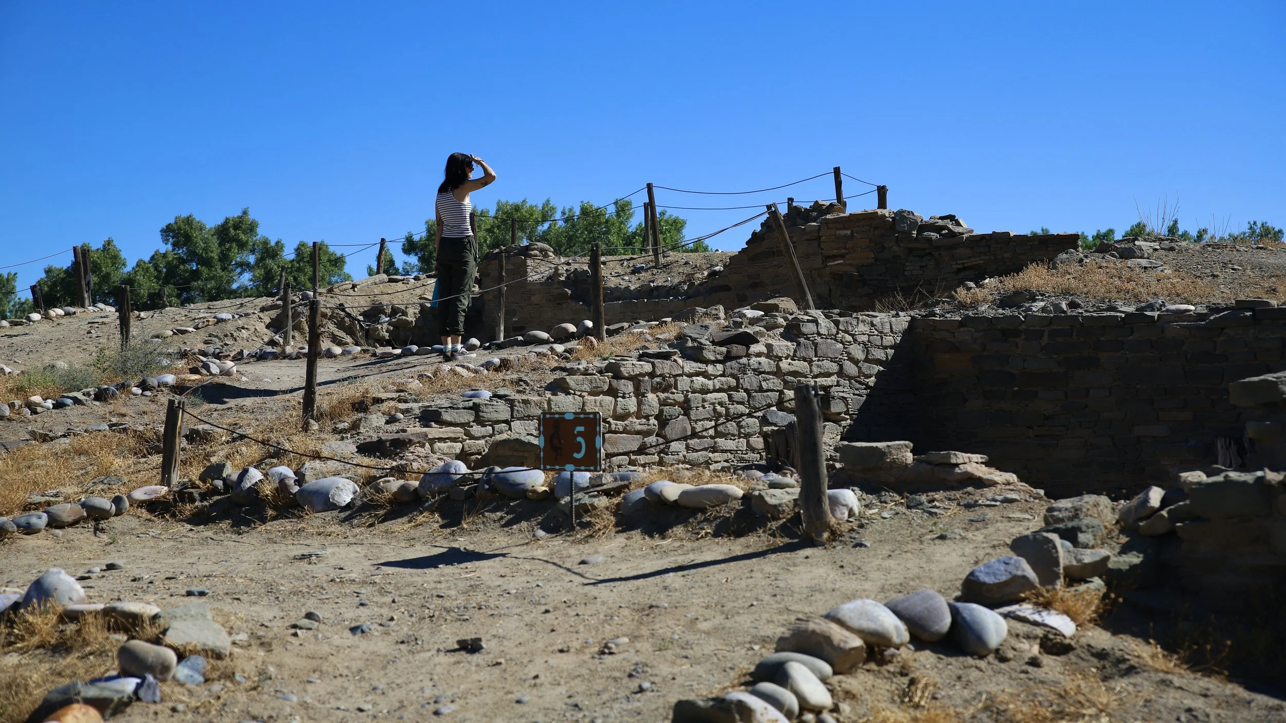 Salmon Ruins