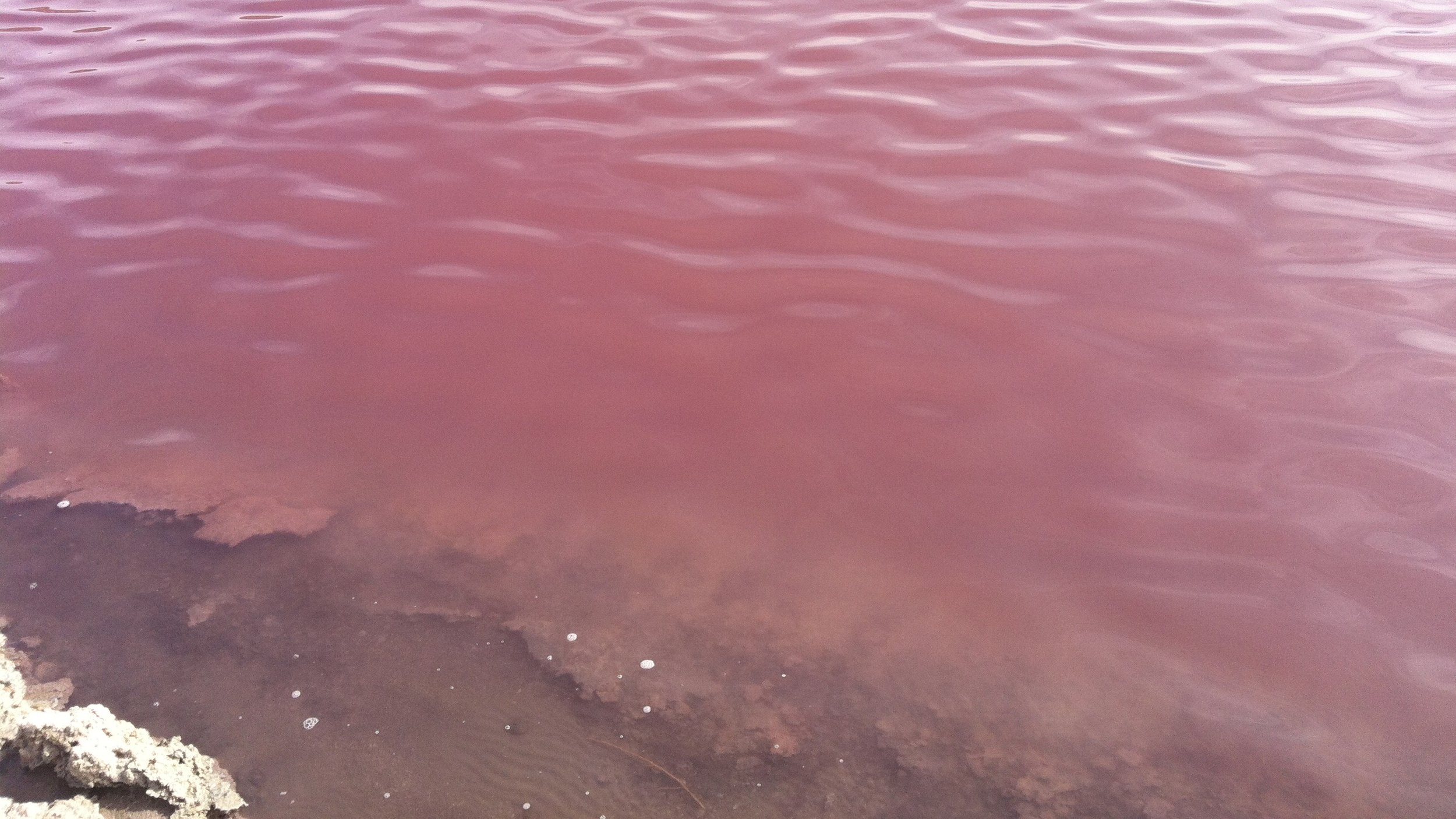 Bottomless Lakes State Park