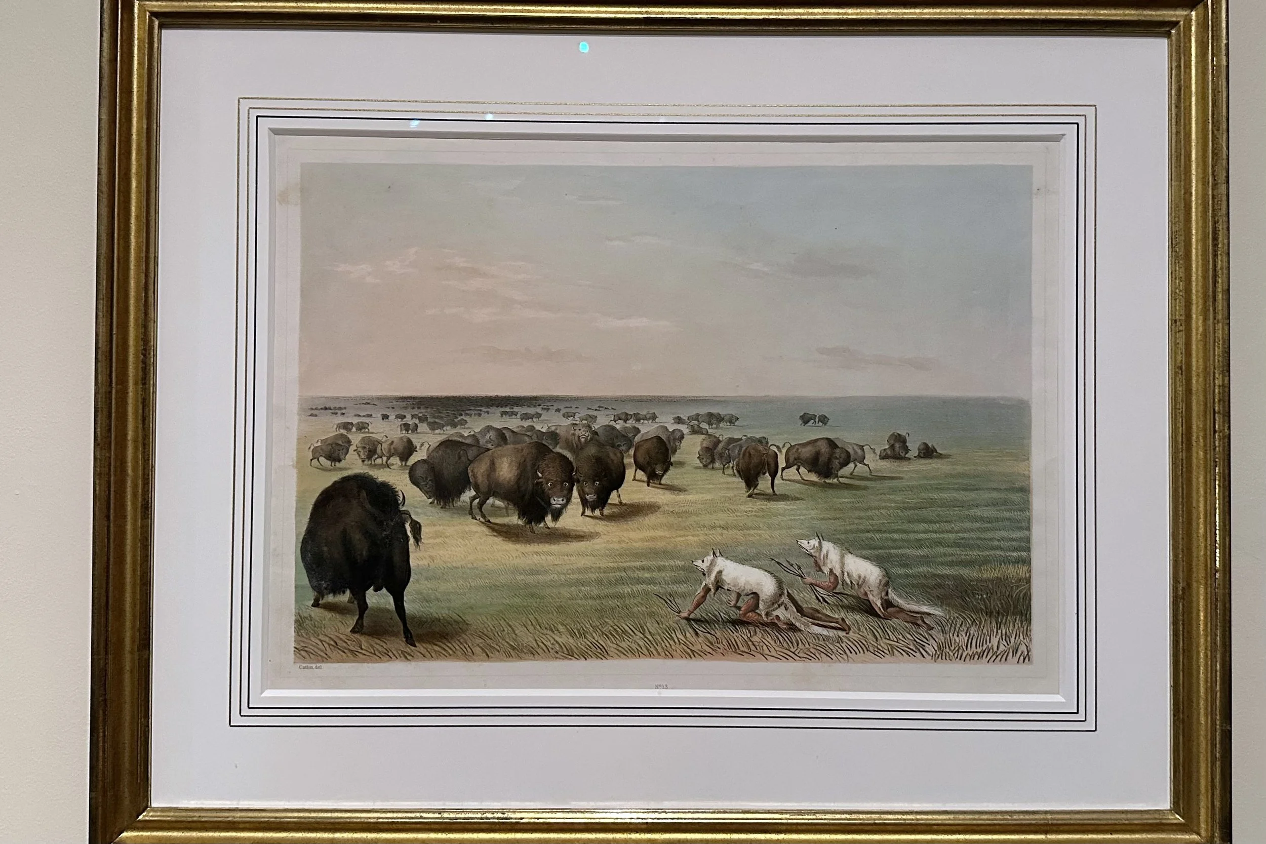 Buffalo Hunt Under the White Wolf Skin by George Catlin
