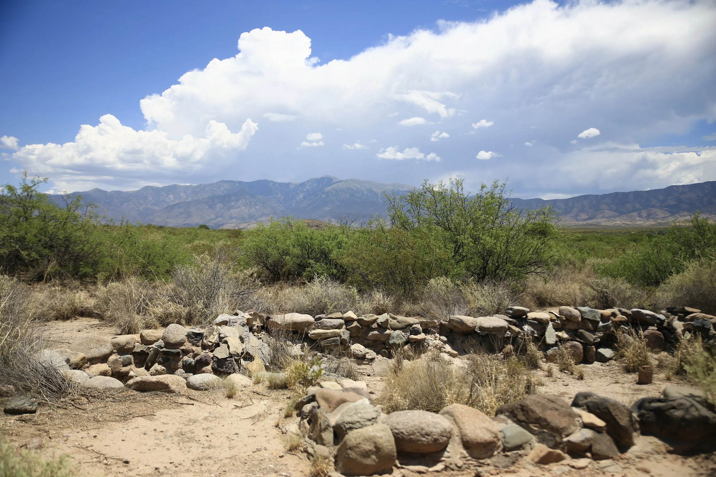 Three Rivers Petroglyph Site in New Mexico in the American Southwest ...
