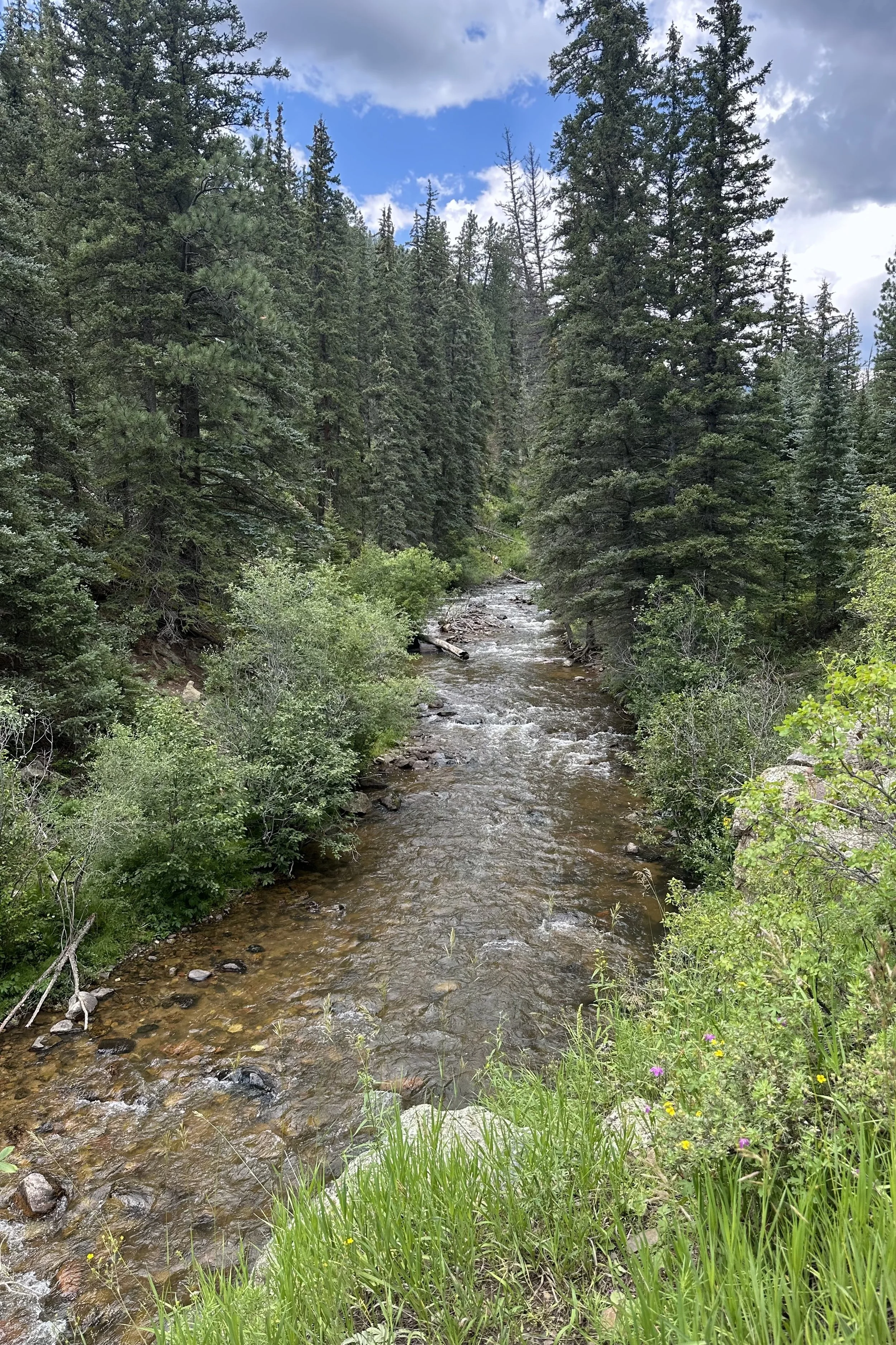IMG_5726.jpeg