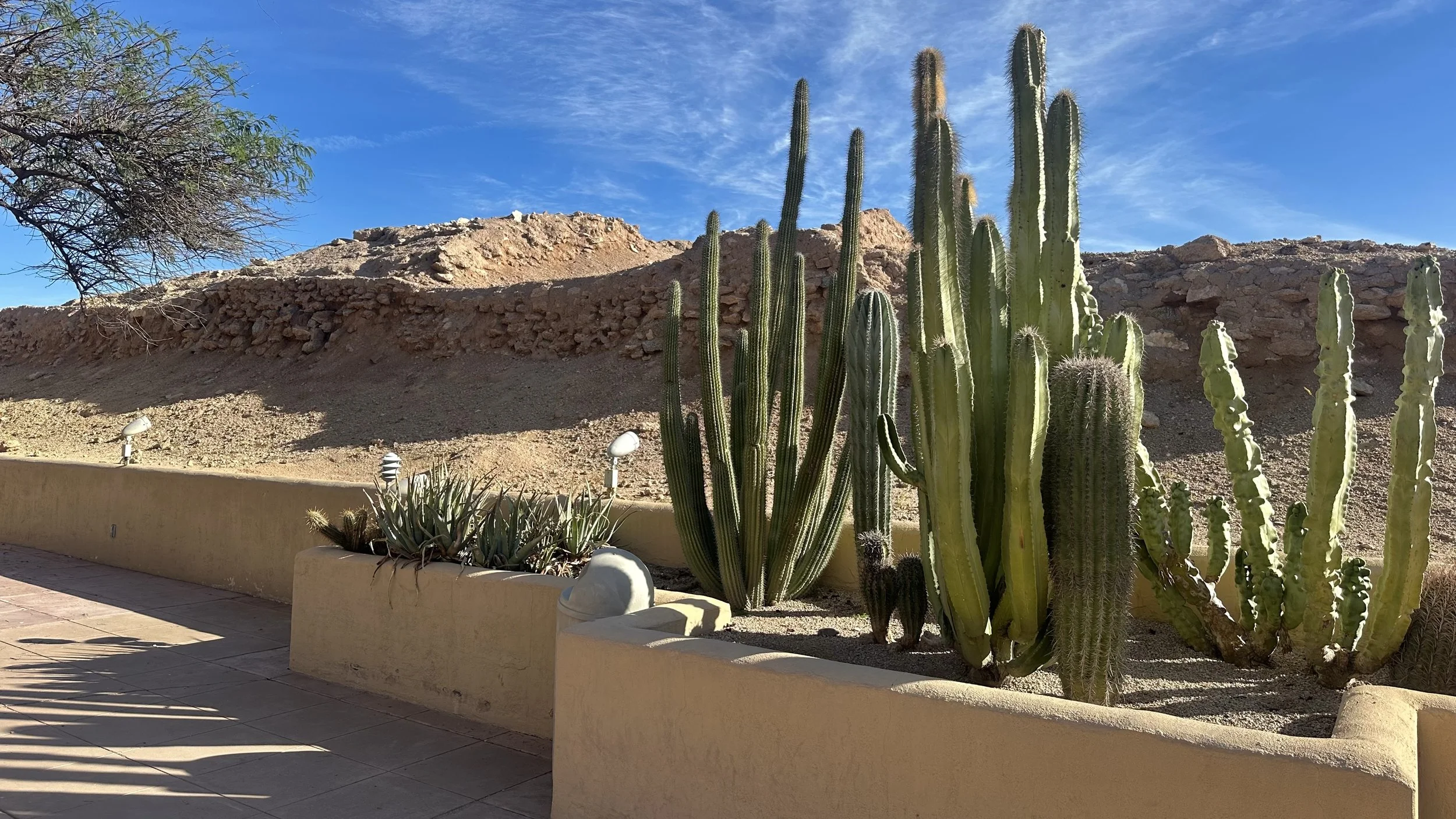 Featured Adventure: Phoenix's S'edav Va'aki Museum