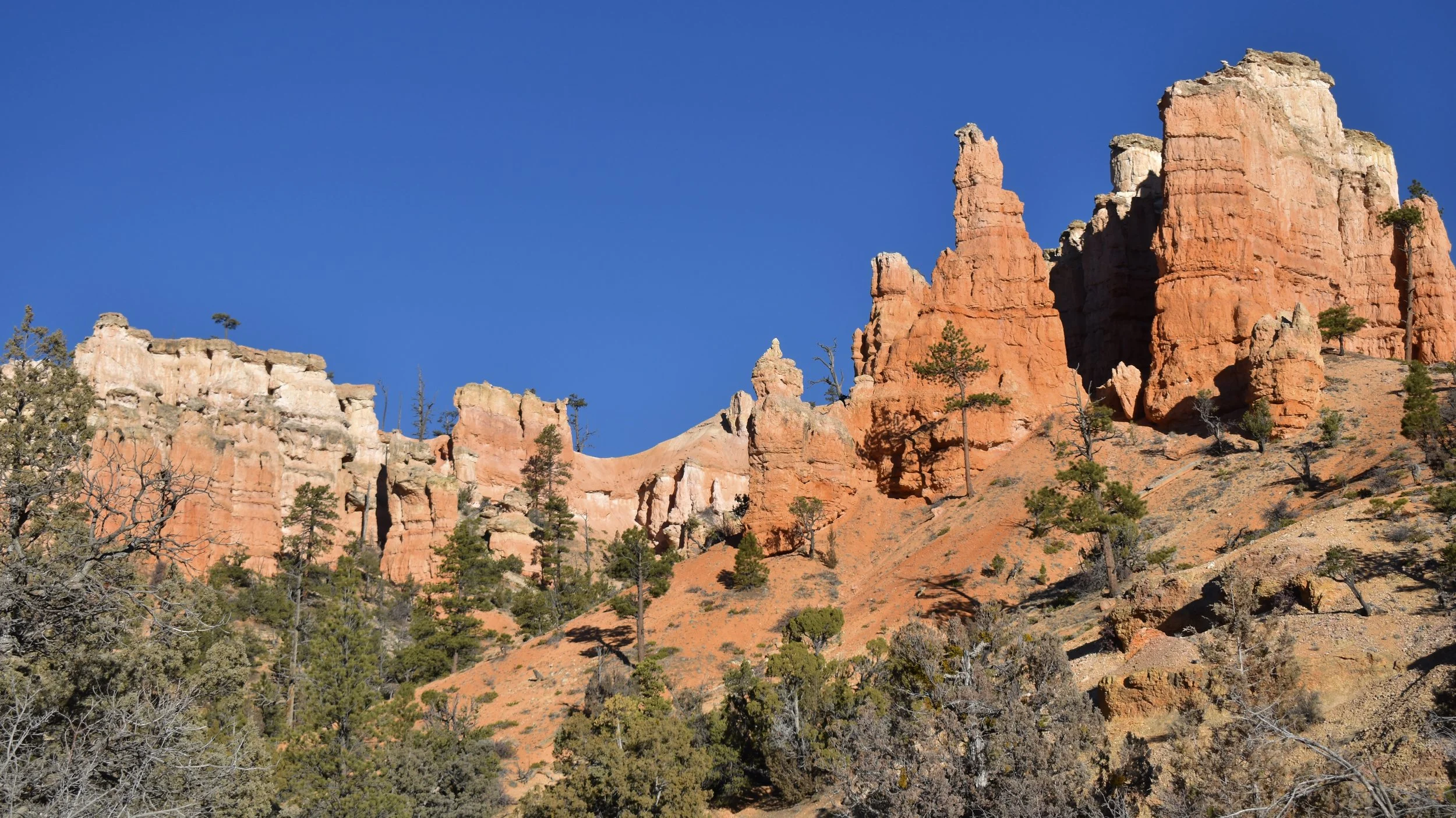 Featured Adventure: Mossy Cave Trail