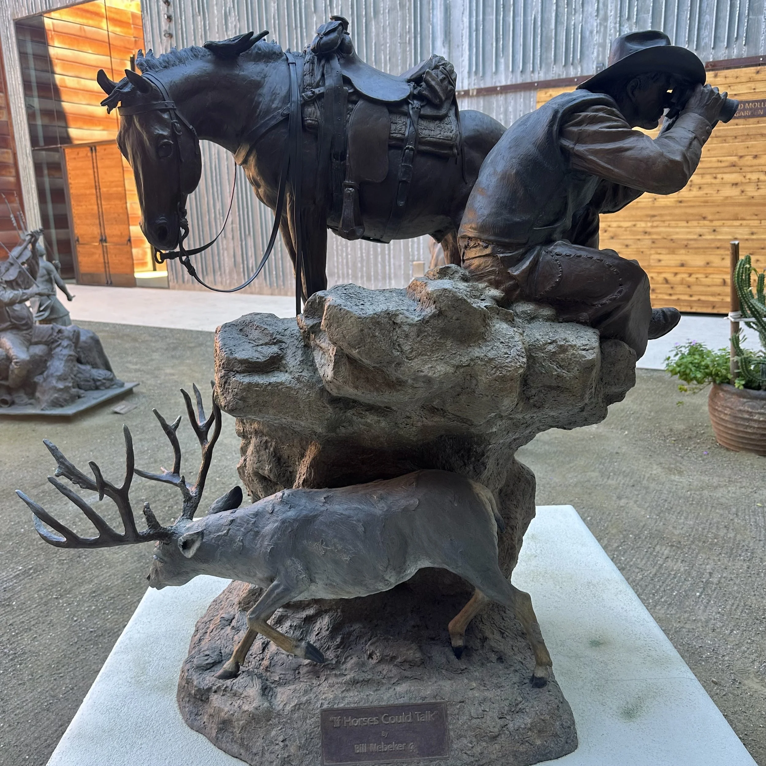 If Horses Could Talk by Bill Nebeker