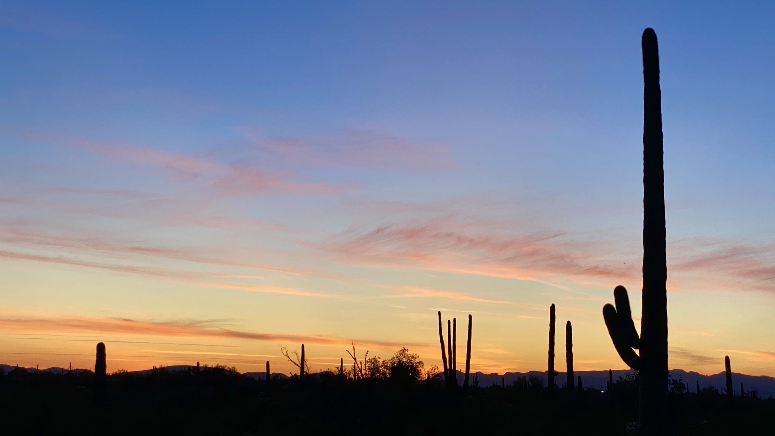 If you’re leaving Tucson and heading west towards Organ Pipe Cactus National Monument you’ll be traveling on the beautiful Saguaro and mountain filled drive that is Highway 86 in southern Arizona. And what an absolutely gorgeous drive it is.