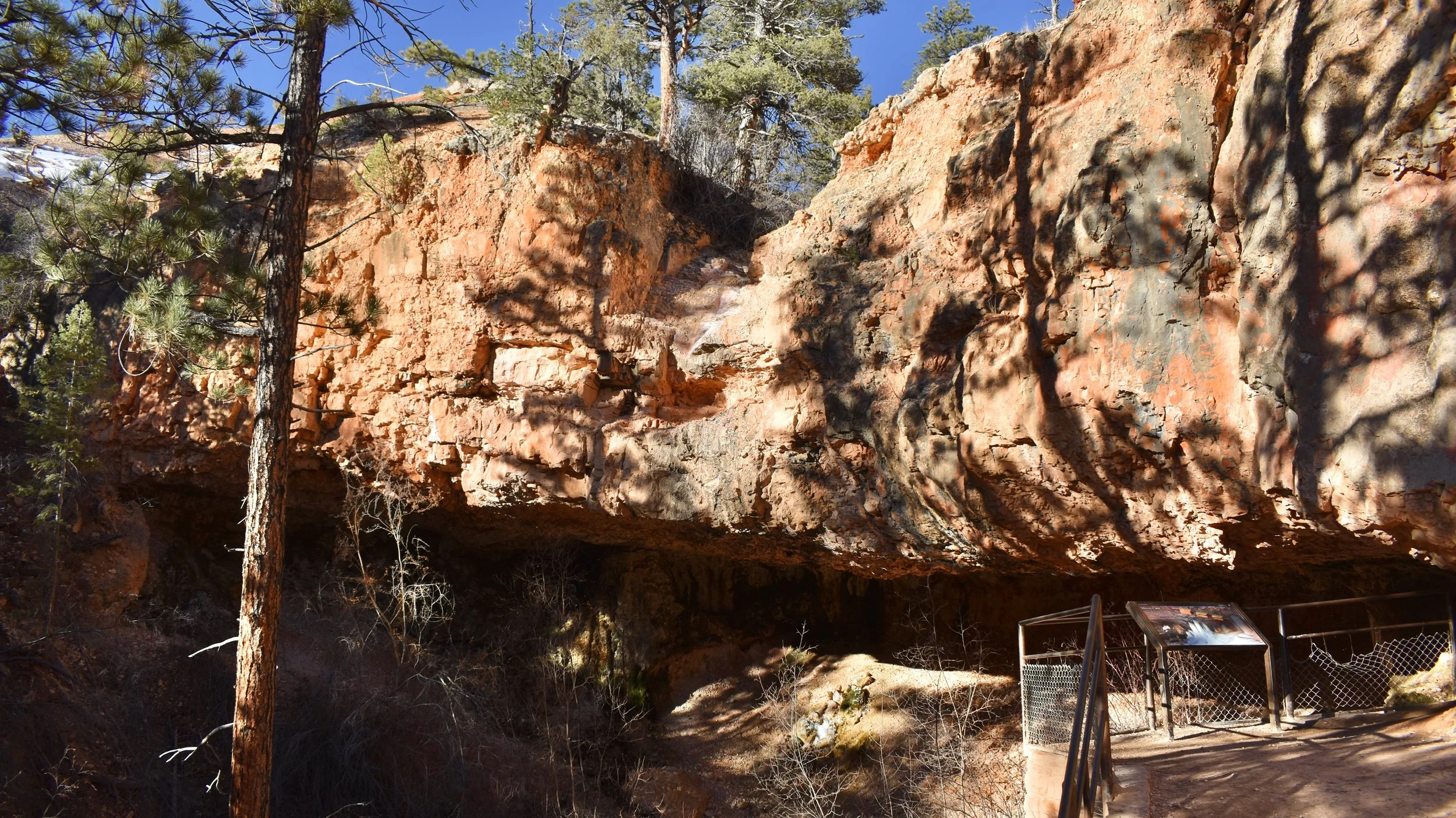 Featured Adventure: Mossy Cave Trail