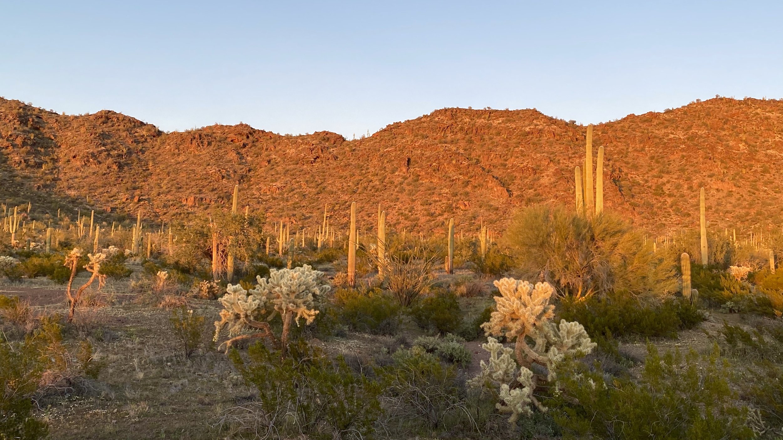 If you’re leaving Tucson and heading west towards Organ Pipe Cactus National Monument you’ll be traveling on the beautiful Saguaro and mountain filled drive that is Highway 86 in southern Arizona. And what an absolutely gorgeous drive it is.